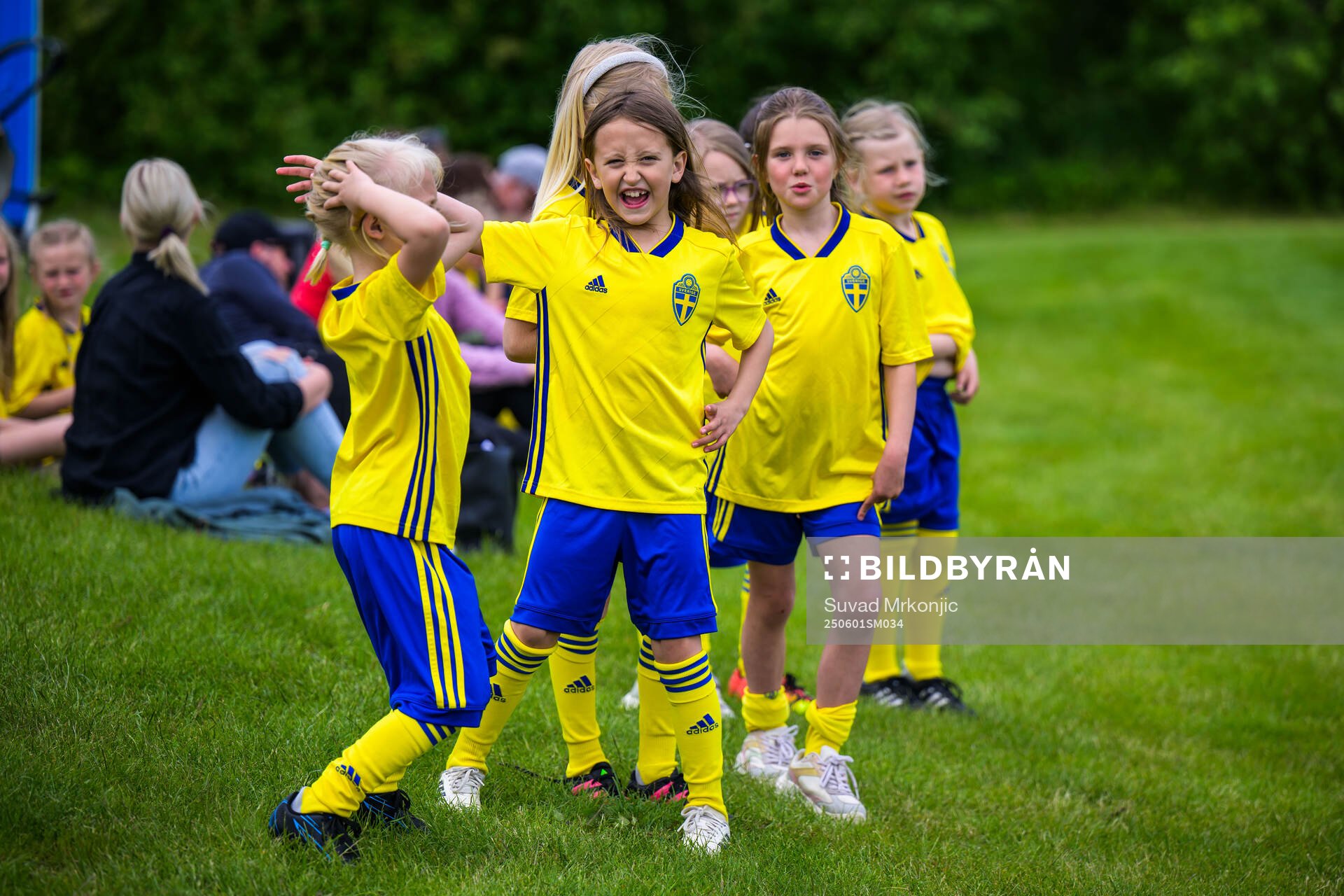 Young Swedish fans