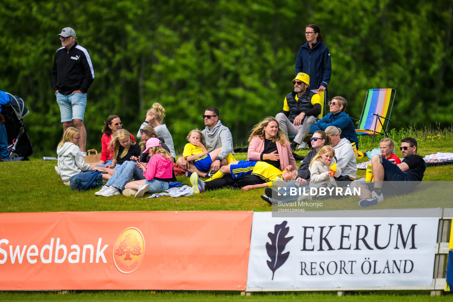 Spectators