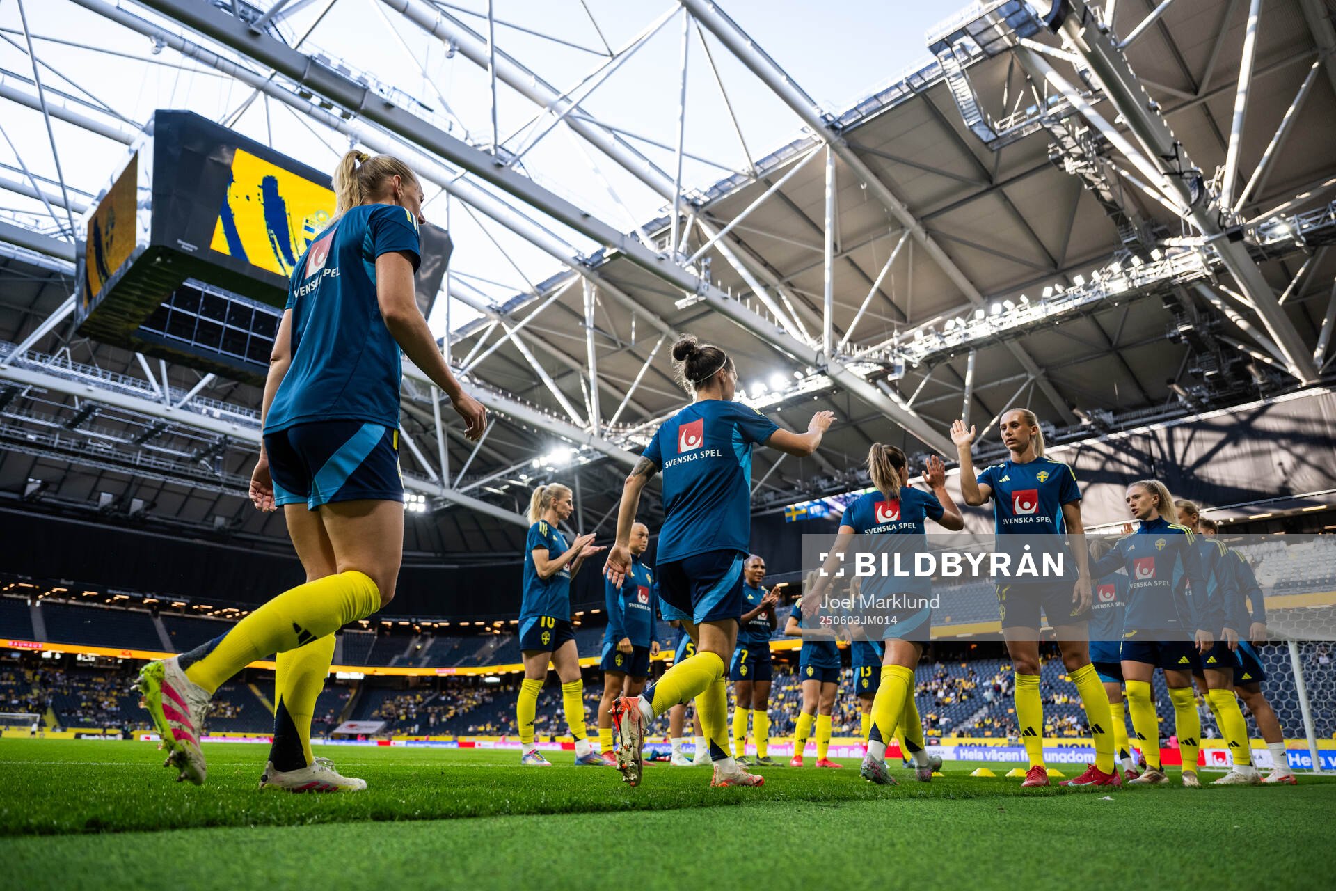 Players of Sweden