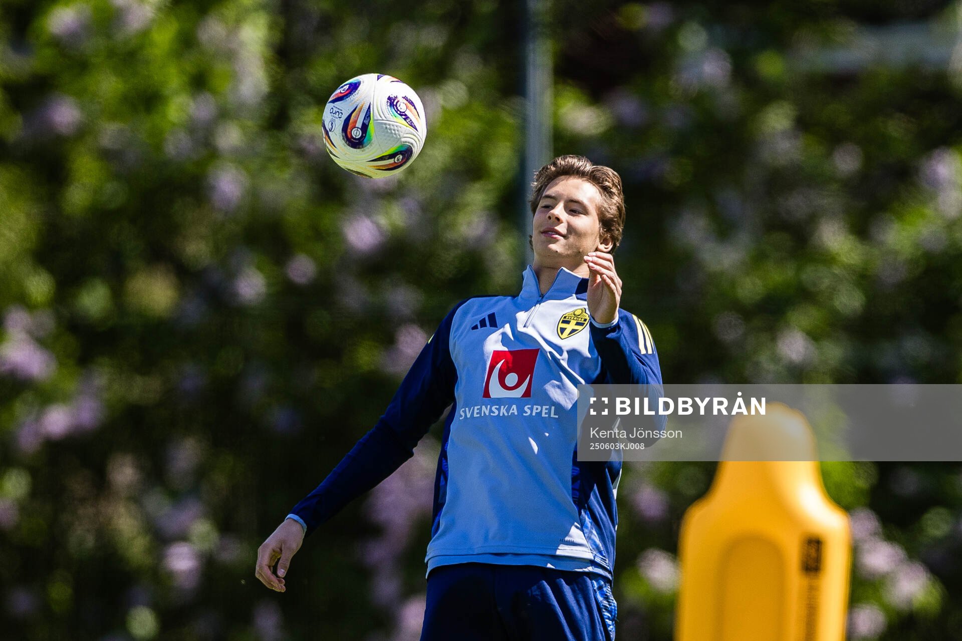 John Mellberg of the Swedish men's national football team