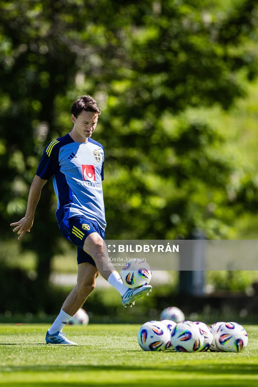 Hjalmar Ekdal of the Swedish men's national football team