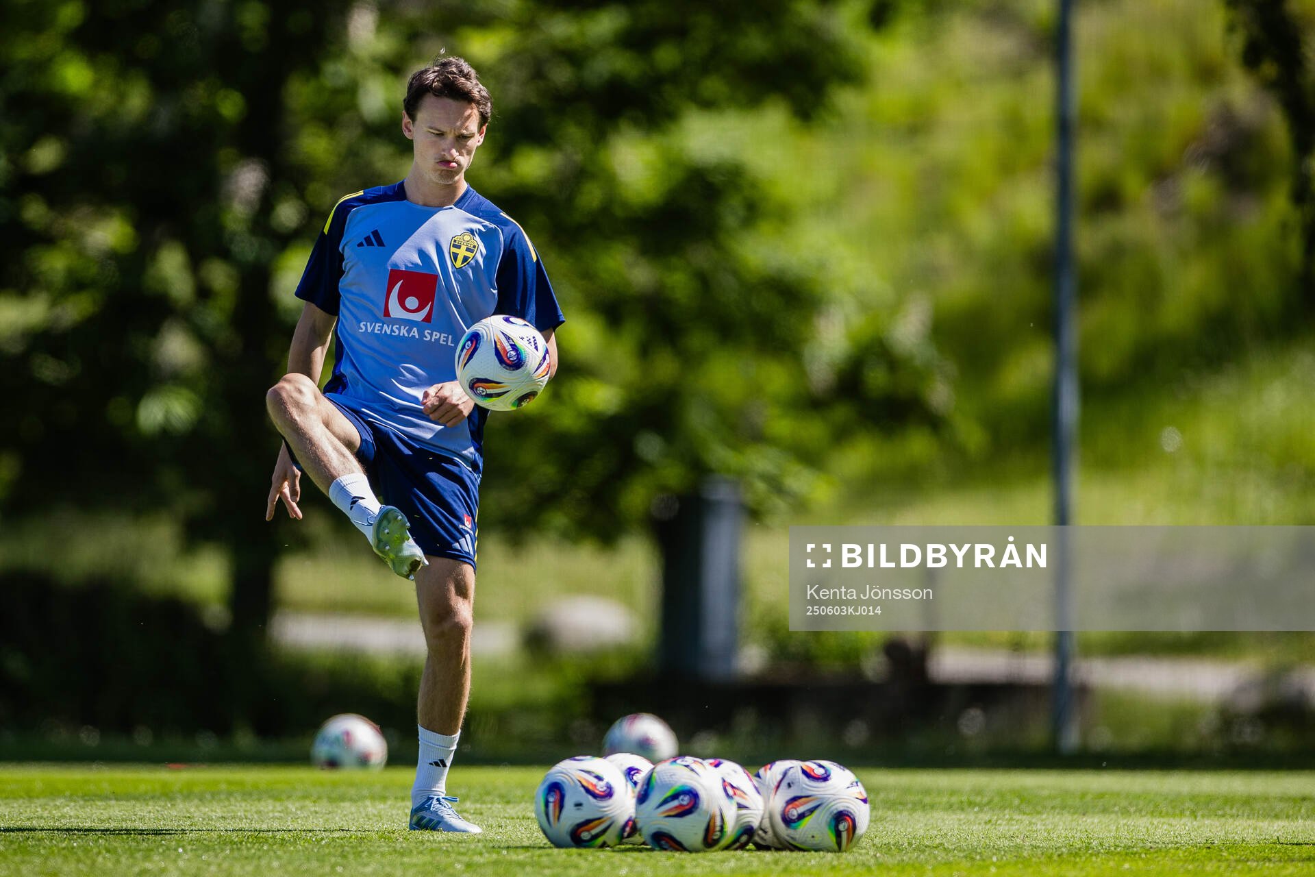 Hjalmar Ekdal of the Swedish men's national football team