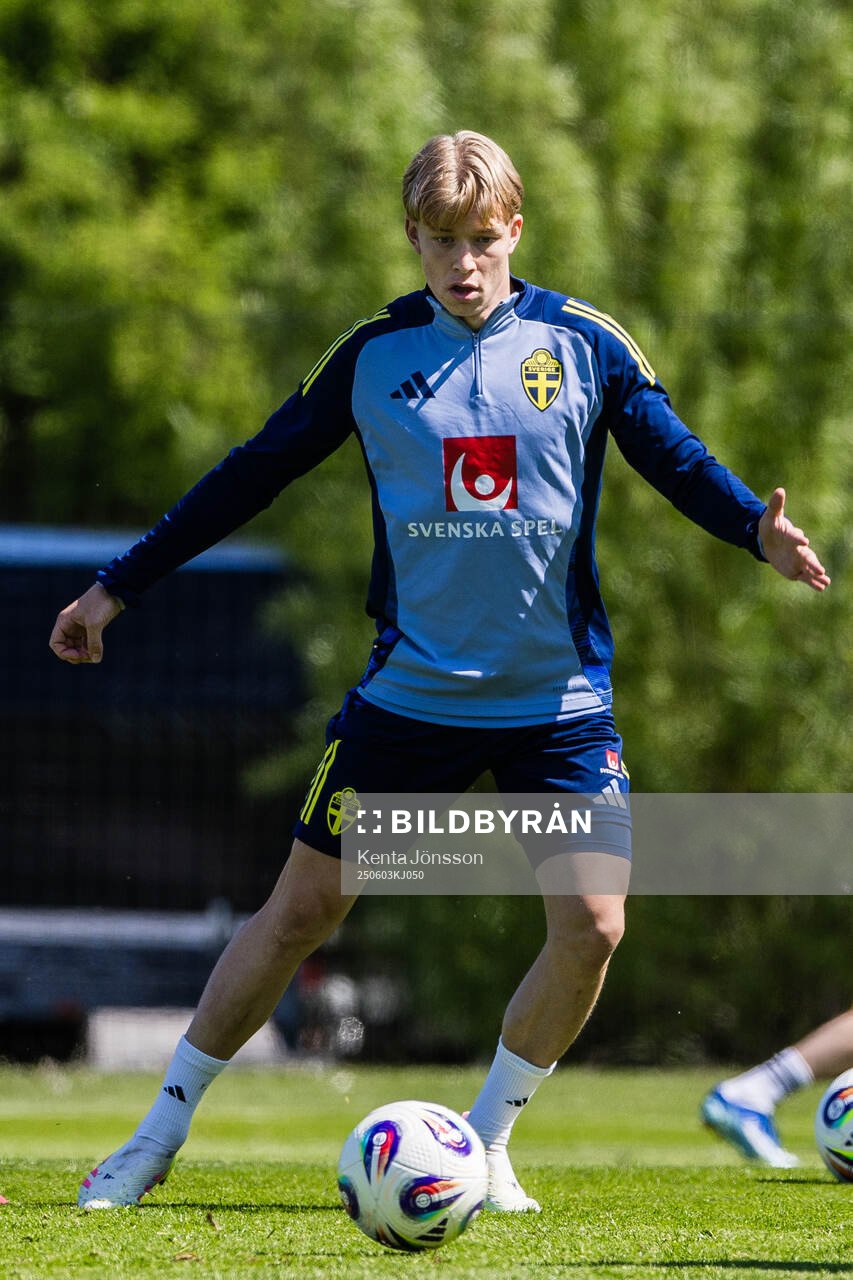 Daniel Svensson of the Swedish men's national football team