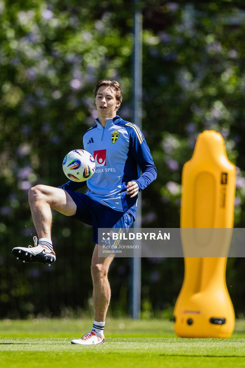 John Mellberg of the Swedish men's national football team