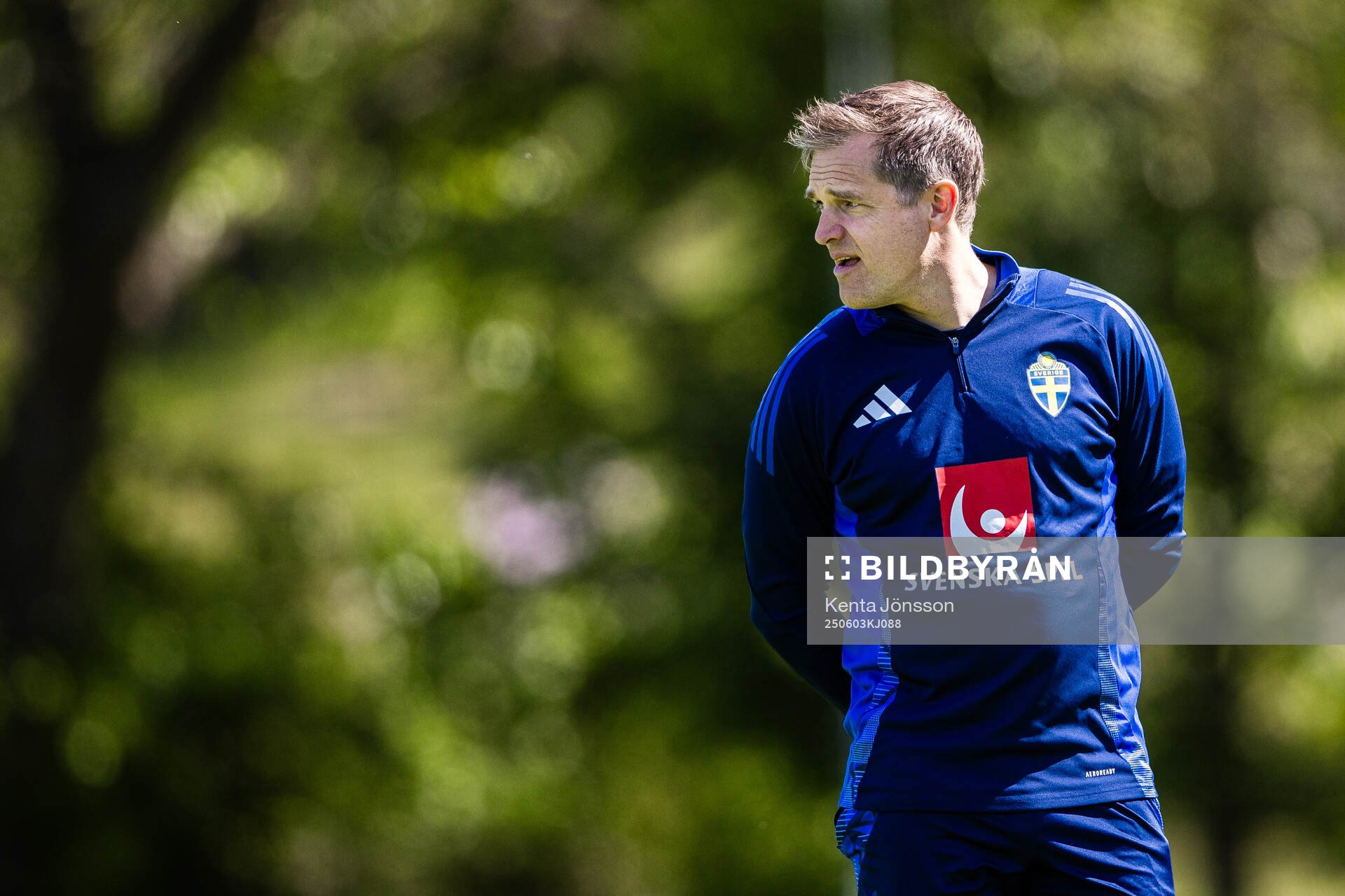 Jonas Werner, doctor of the Swedish men's national football