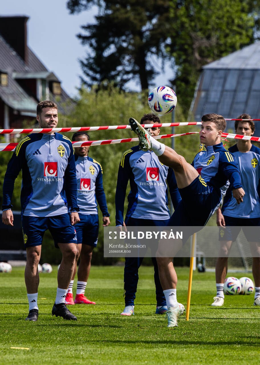 Samuel Dahl of the Swedish men's national football team