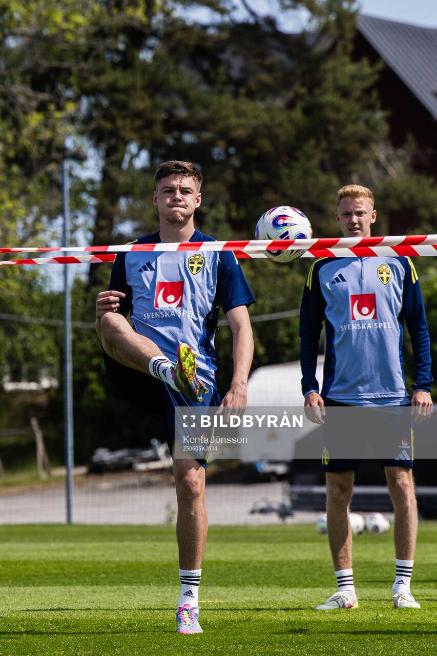 Emil Holm  of the Swedish men's national football team