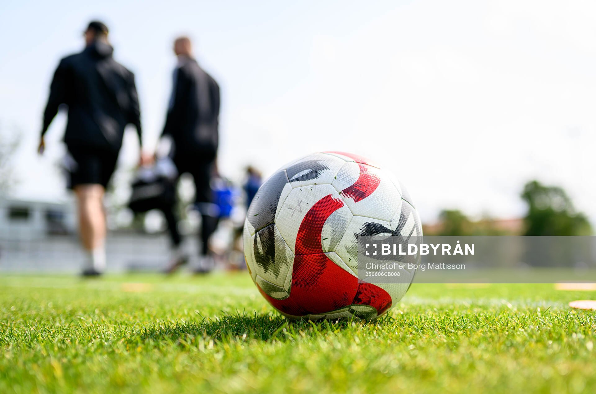 En fotboll på gräsmattan