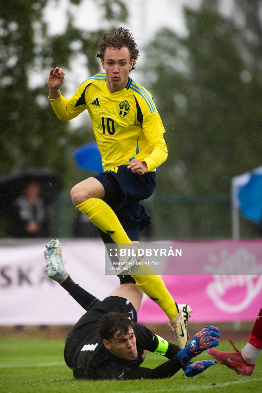 Sveriges Anton Höög