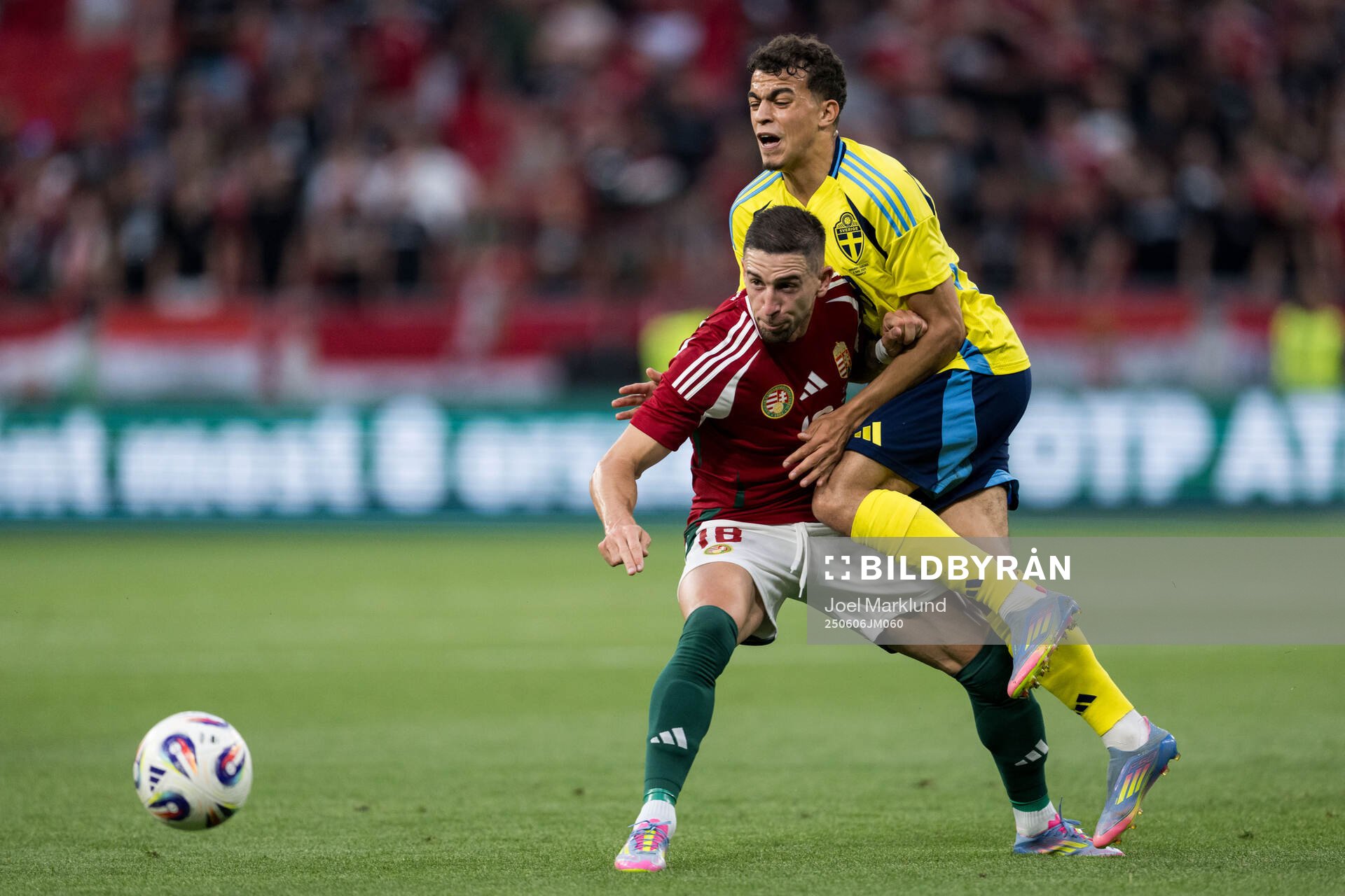 Zsolt Nagy of Hungary and Yasin Ayari of Sweden