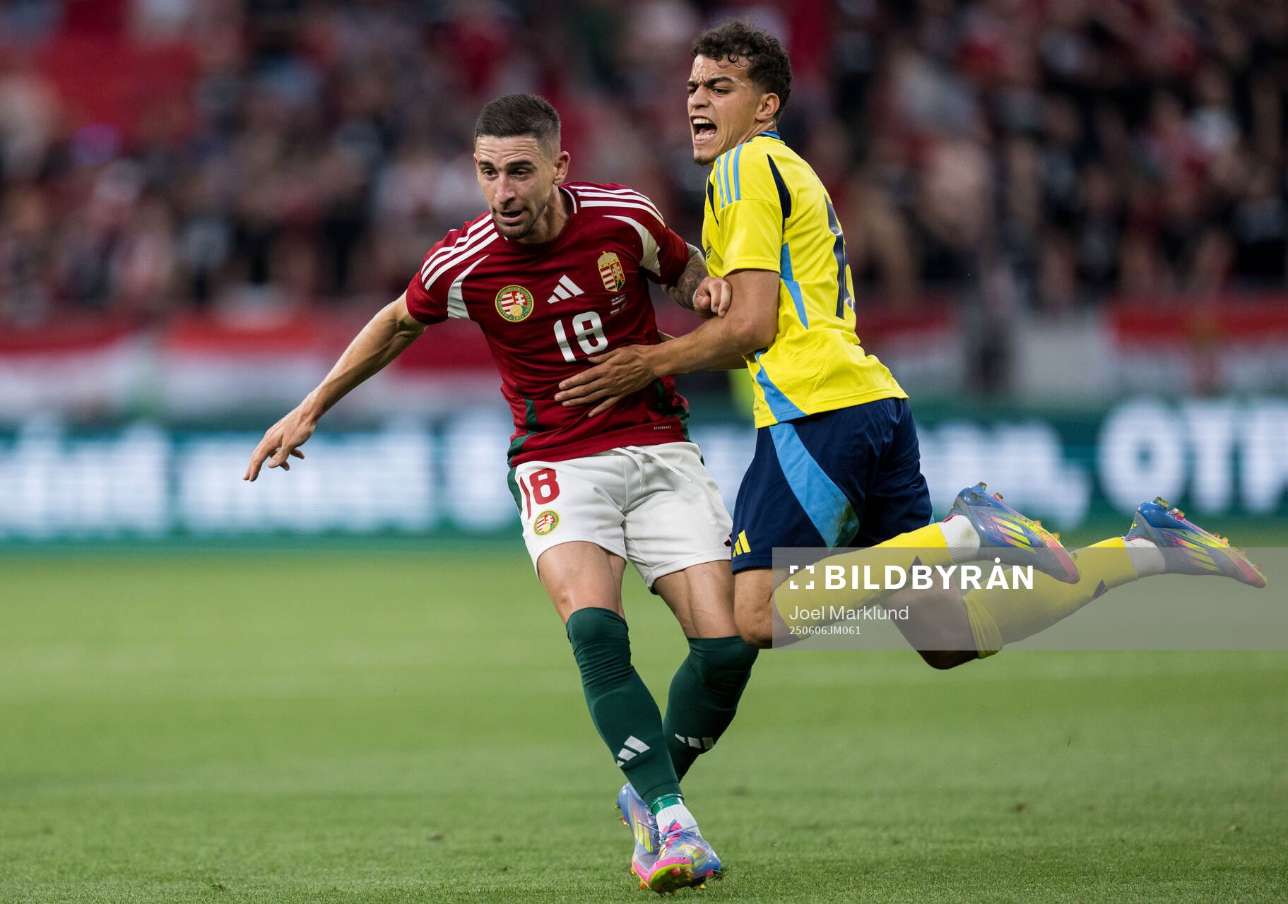 Zsolt Nagy of Hungary and Yasin Ayari of Sweden