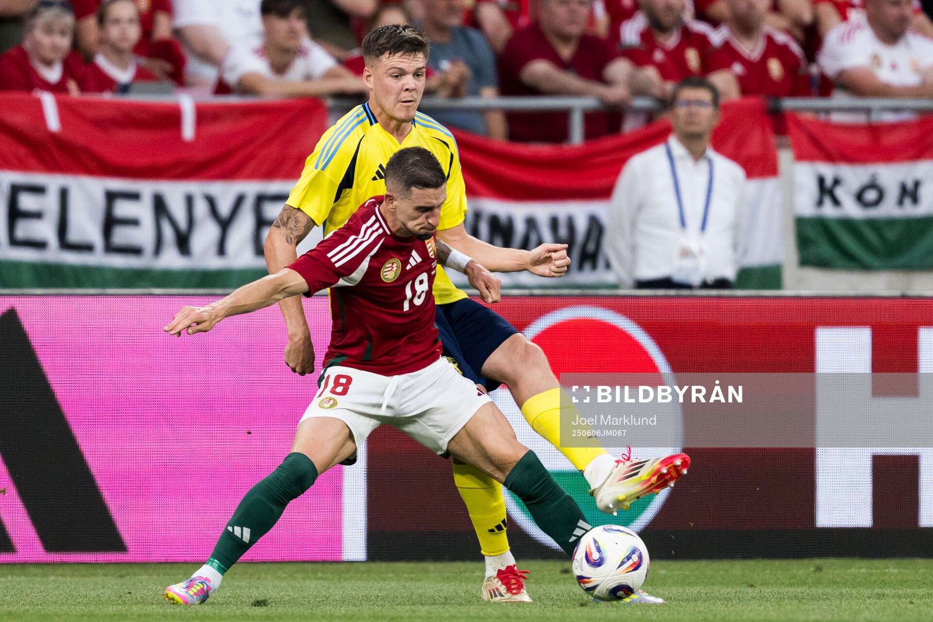 Zsolt Nagy of Hungary and Emil Holm of Sweden
