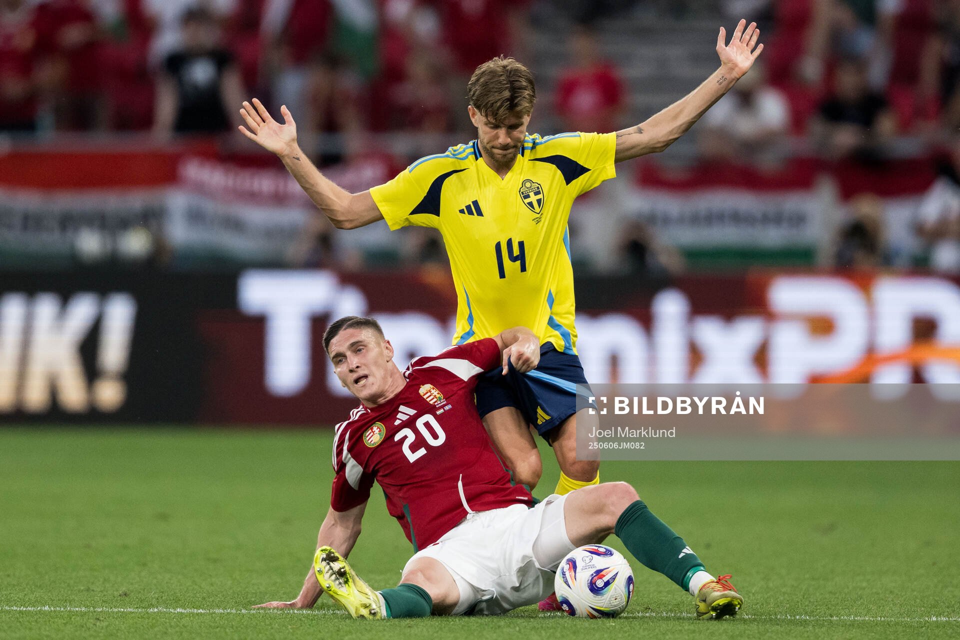 Roland Sallai of Hungary and Anton Salétros of Sweden