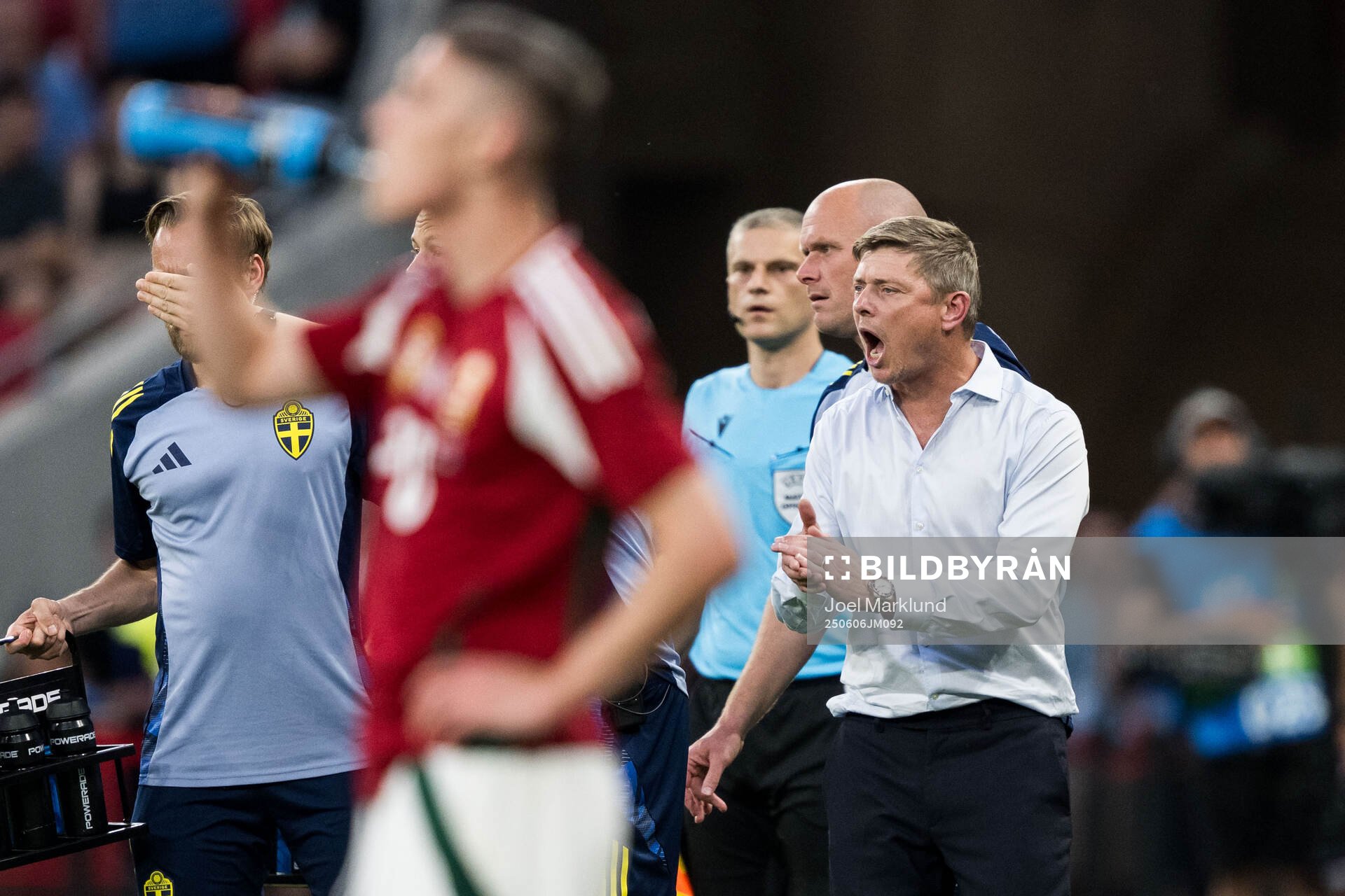 Head coach Jon Dahl Tomasson of Sweden