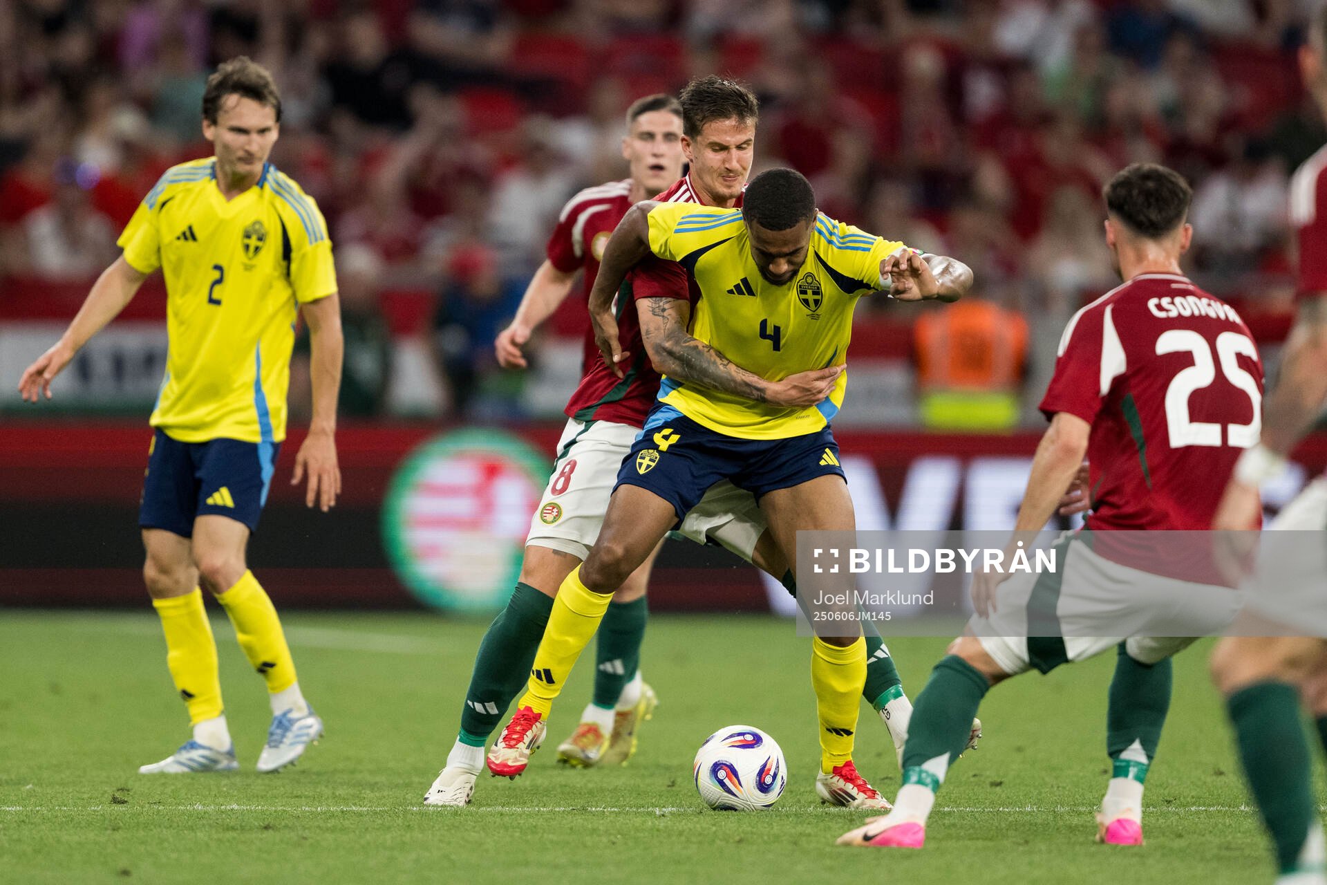 Tamás Nikitscher of Hungary and Isak Hien of Sweden
