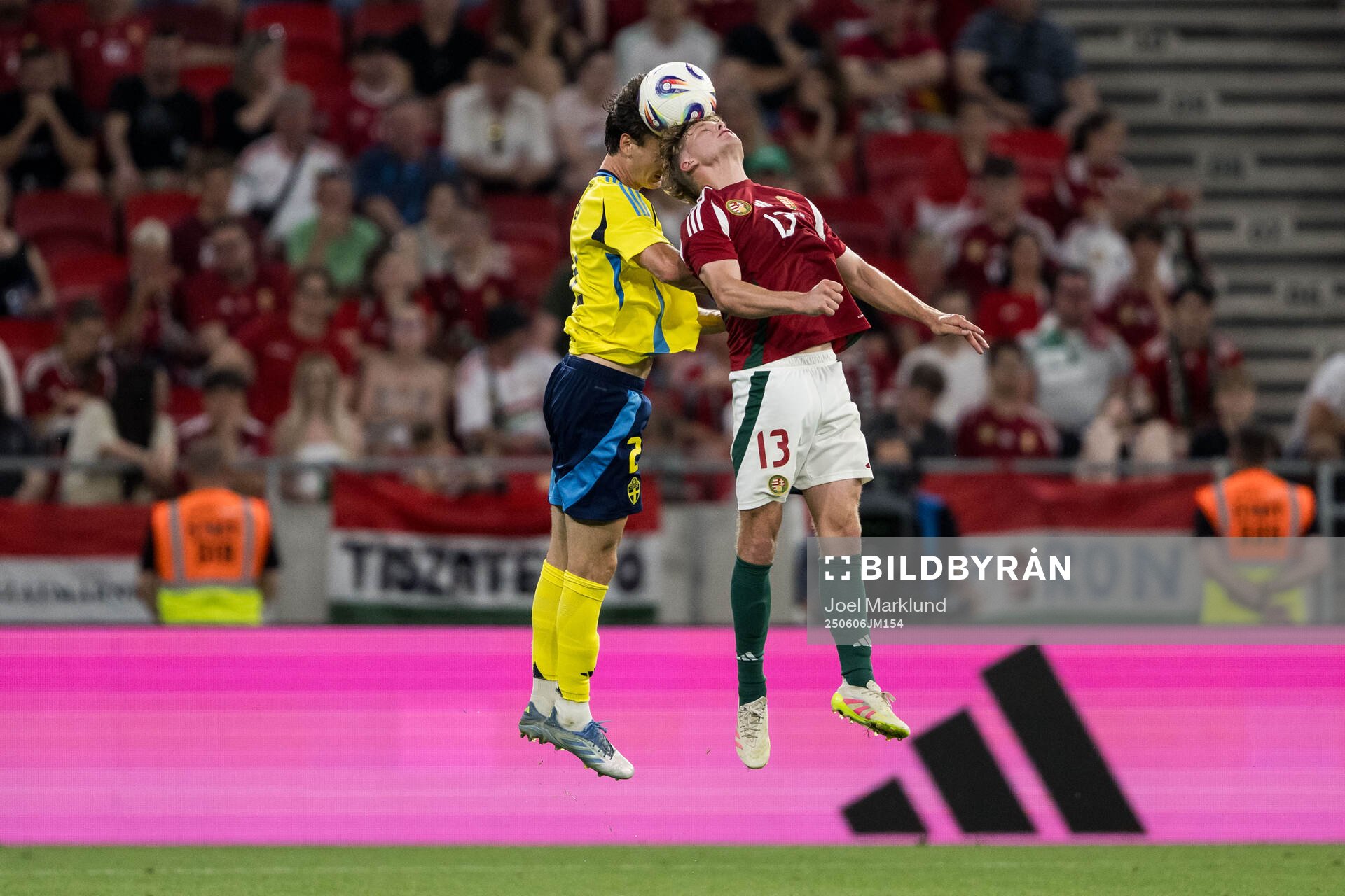 Hjalmar Ekdal of Sweden and Andras Schäfer of Hungary