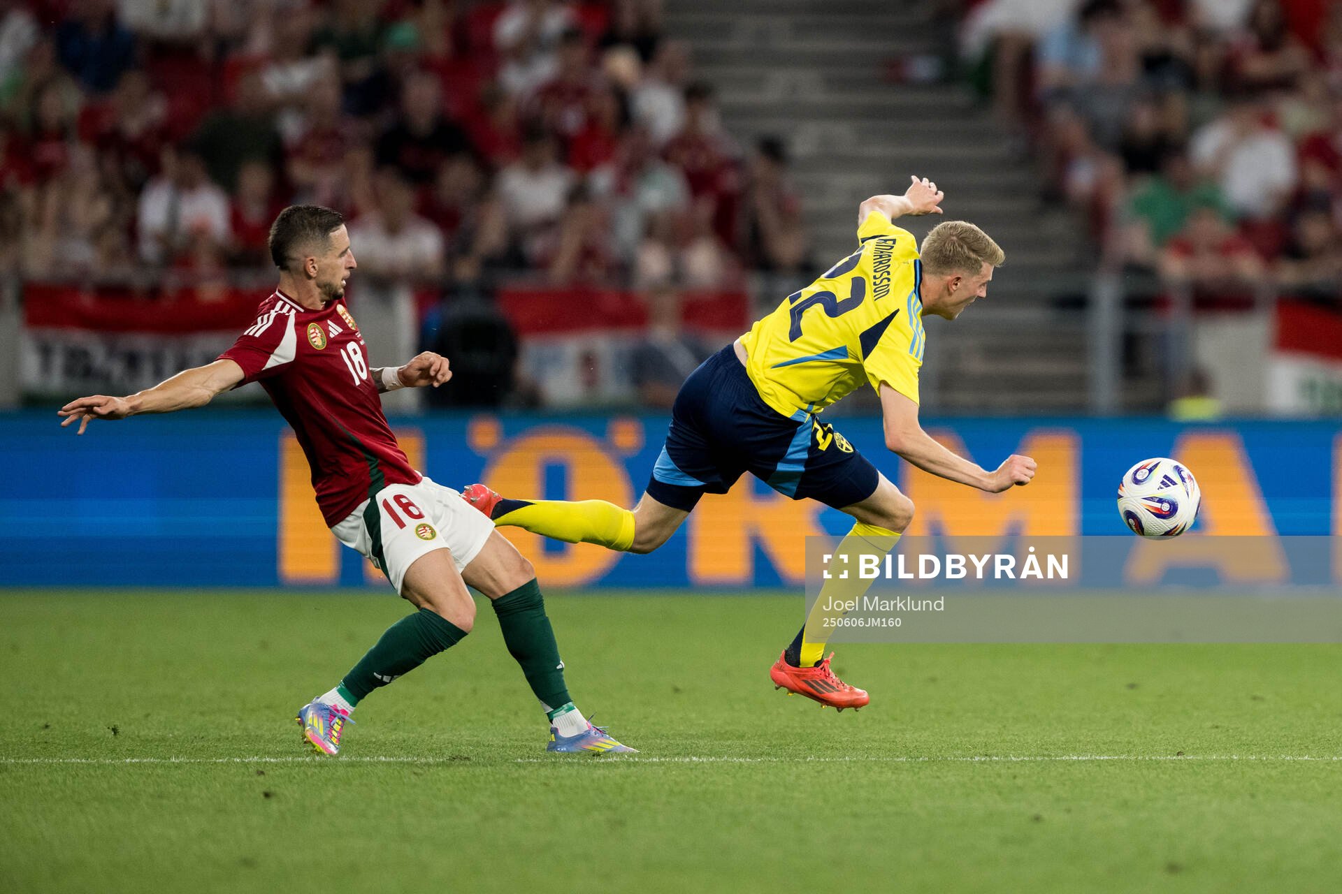 Zsolt Nagy of Hungary and Alexander Bernhardsson of Sweden