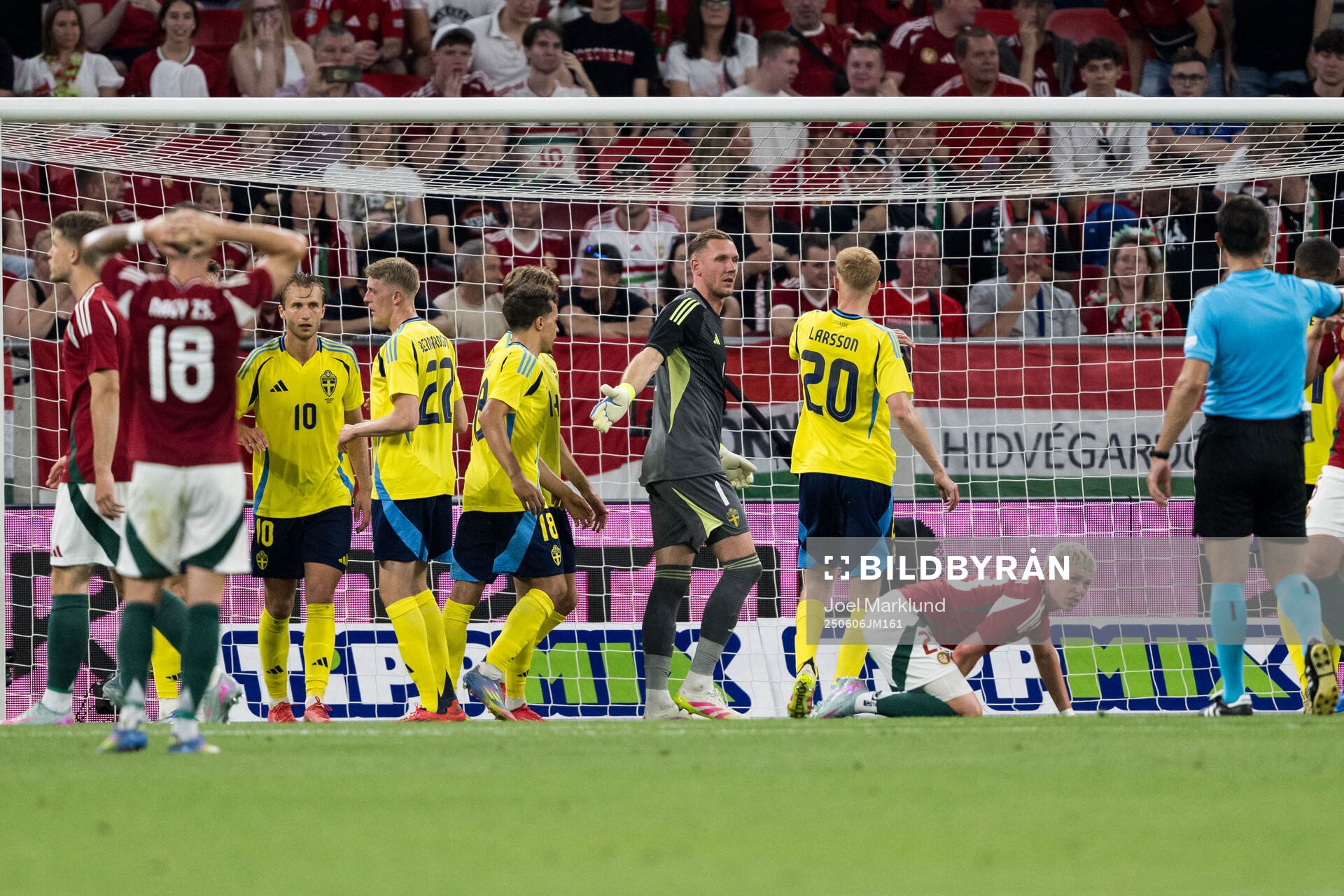 goalkeeper Robin Olsen of Sweden celebrates