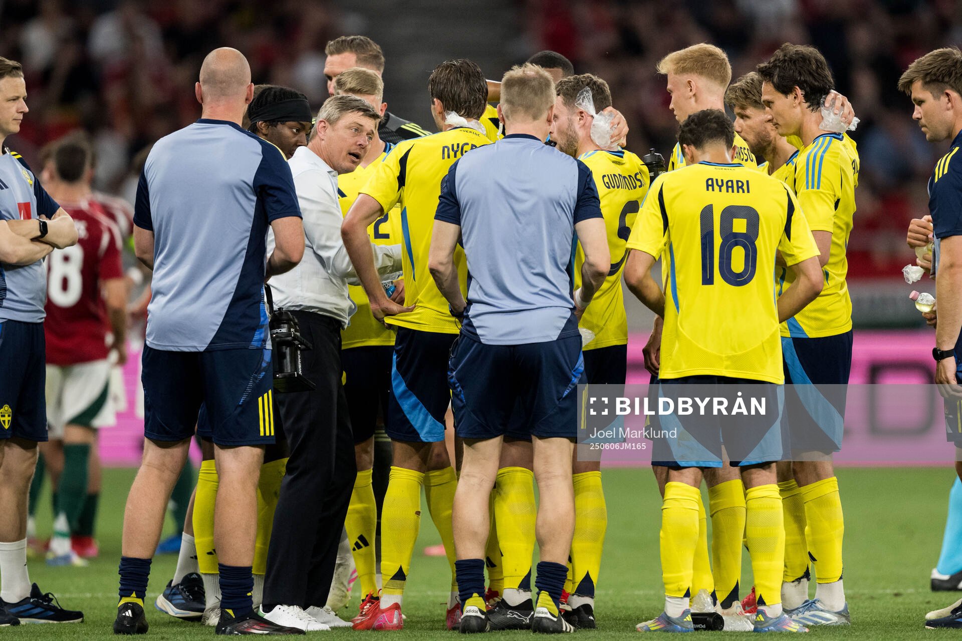 Head coach Jon Dahl Tomasson of Sweden
