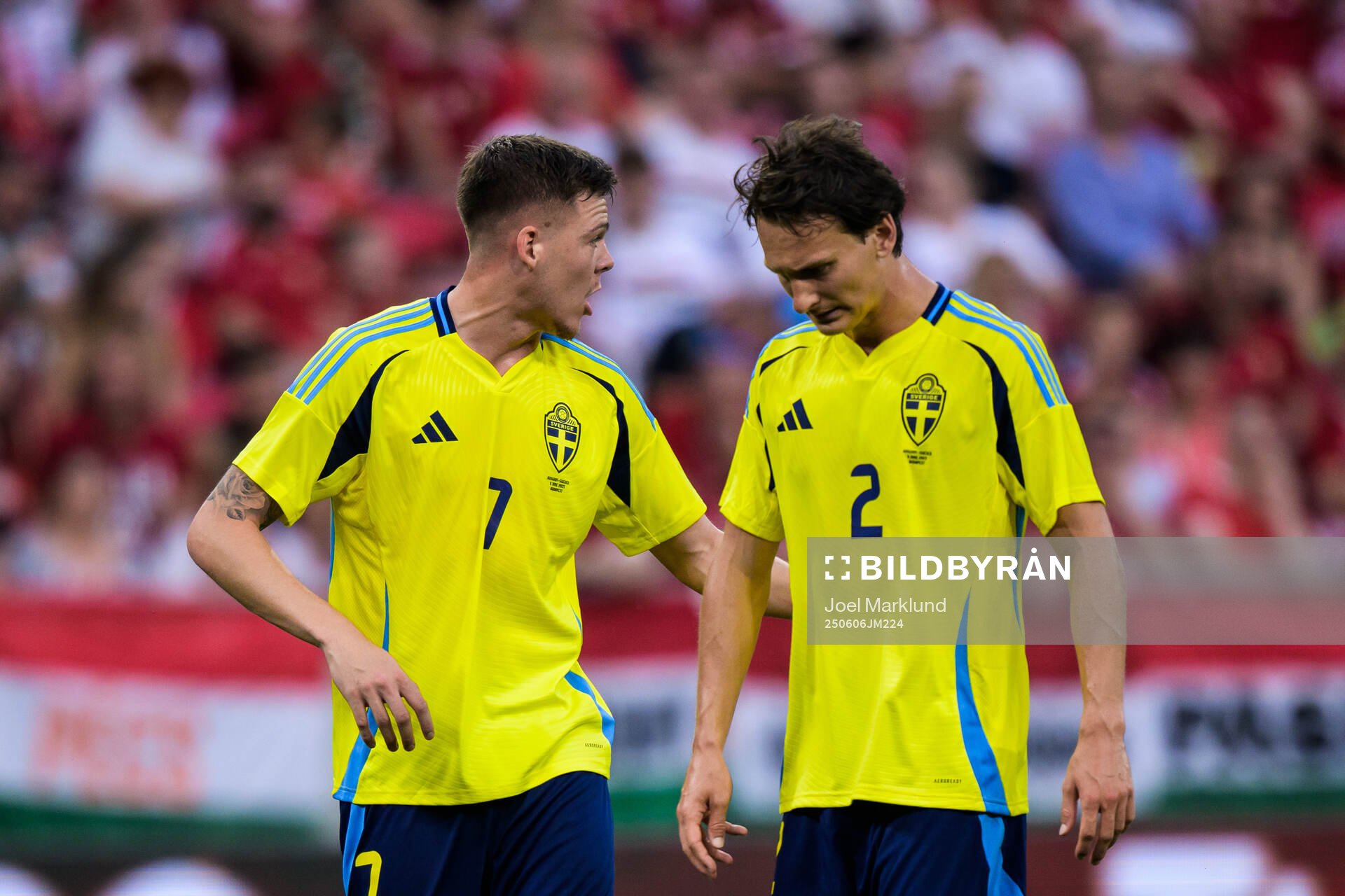Emil Holm and Hjalmar Ekdal of Sweden