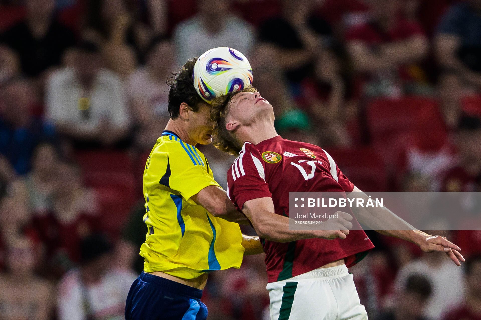 Hjalmar Ekdal of Sweden and Andras Schäfer of Hungary