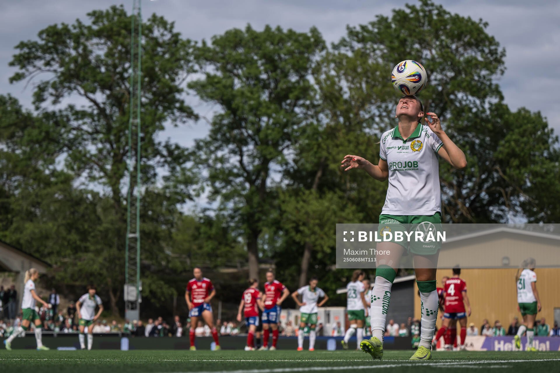Hammarbys Vilde Hasund