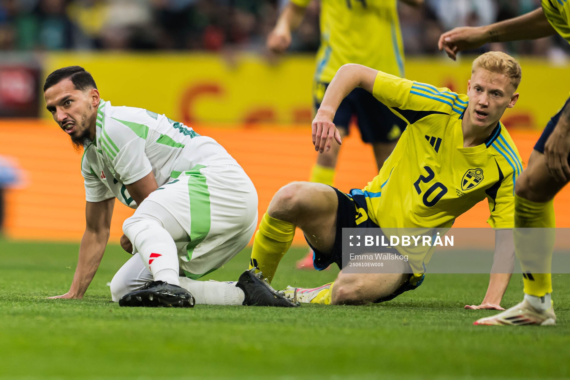 Ismael Bennacer of Algeria and Hugo Larsson of Sweden