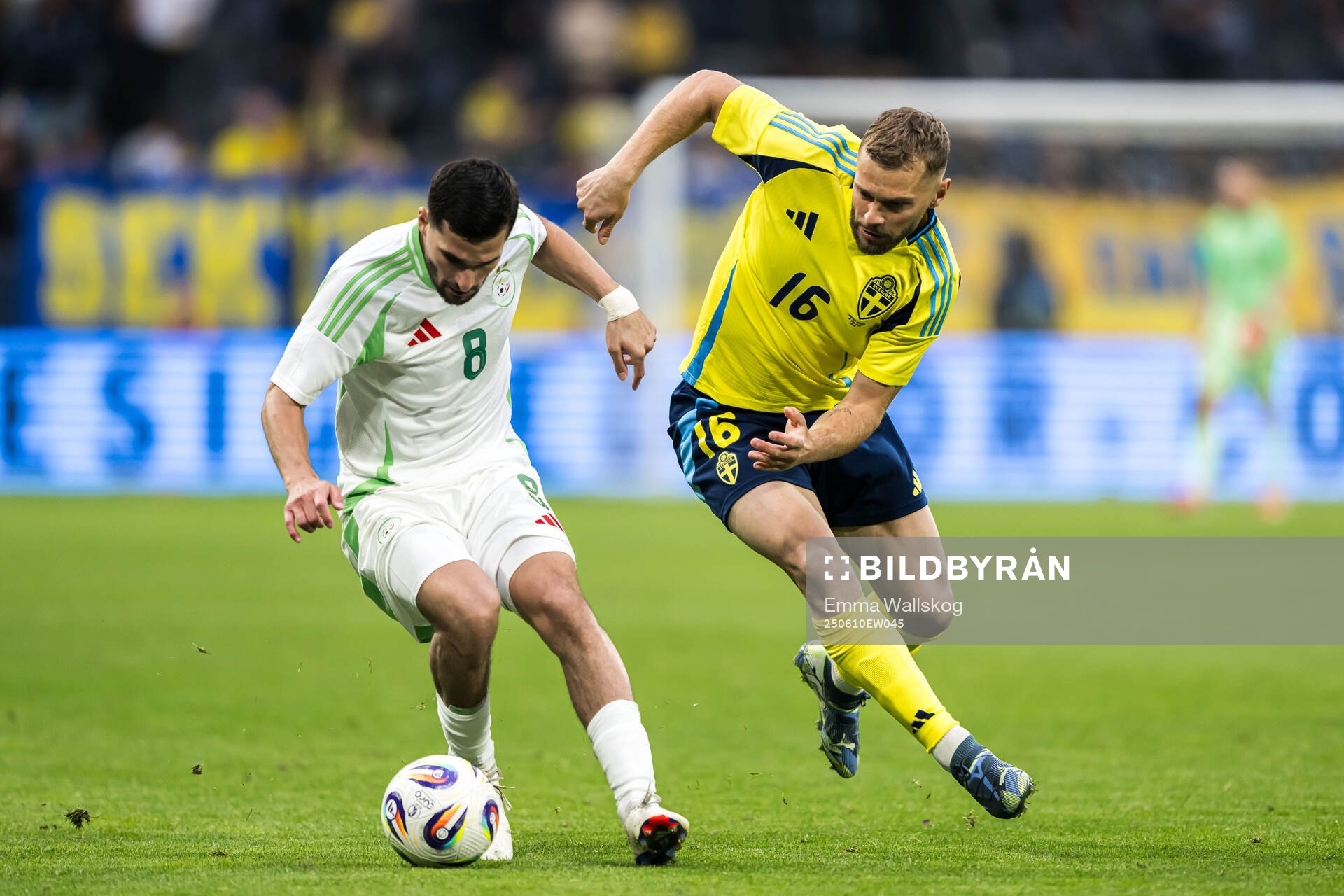 Houssem Aouar of Algeria and Jesper Karlström of Sweden