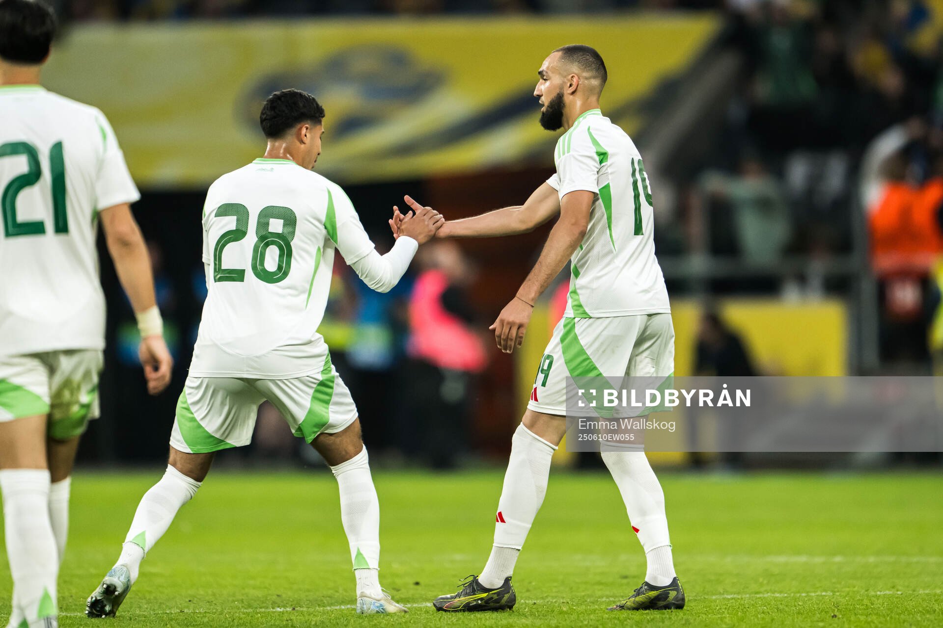 Fares Chaibi and Nabil Bentaleb of Algeria celebrate