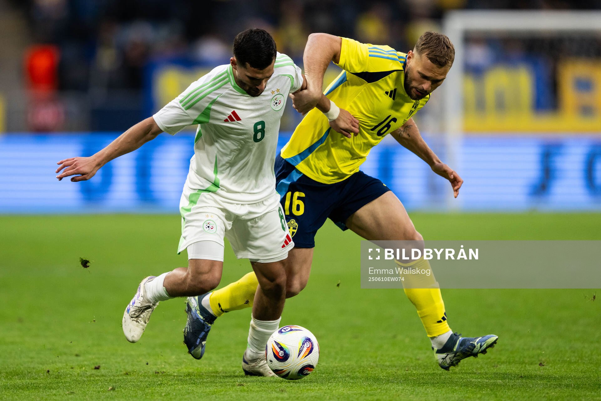Houssem Aouar of Algeria and Jesper Karlström of Sweden