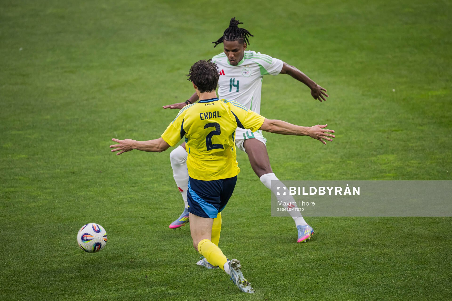 Hjalmar Ekdal of Sweden and Hicham Boudaoui of Algeria