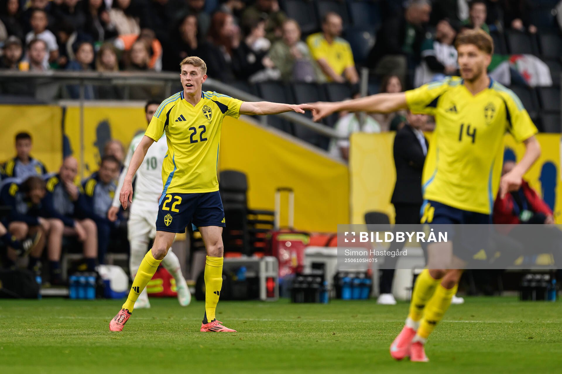 Alexander Bernhardsson and Anton Salétros of Sweden