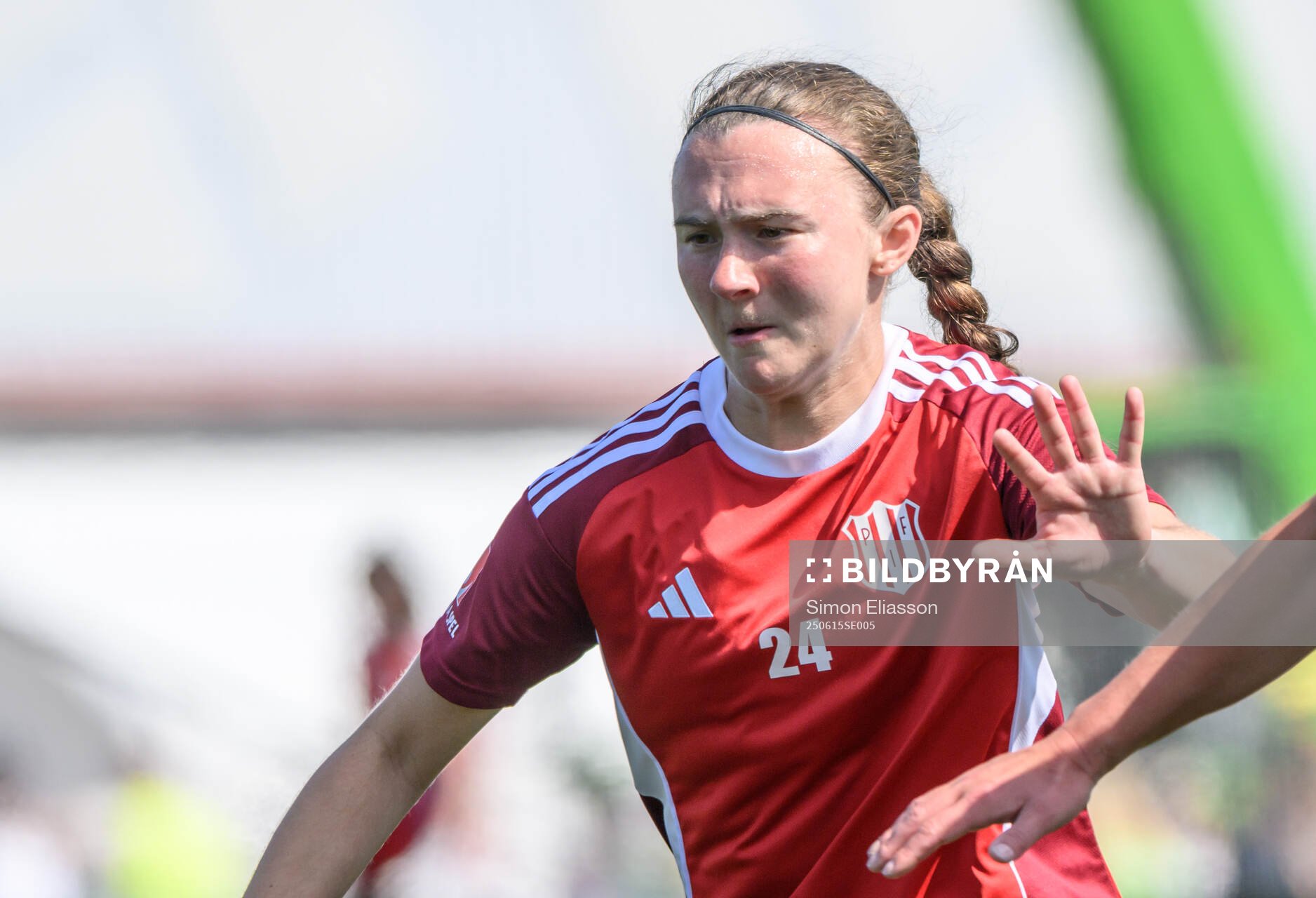 Piteås Emily Gray