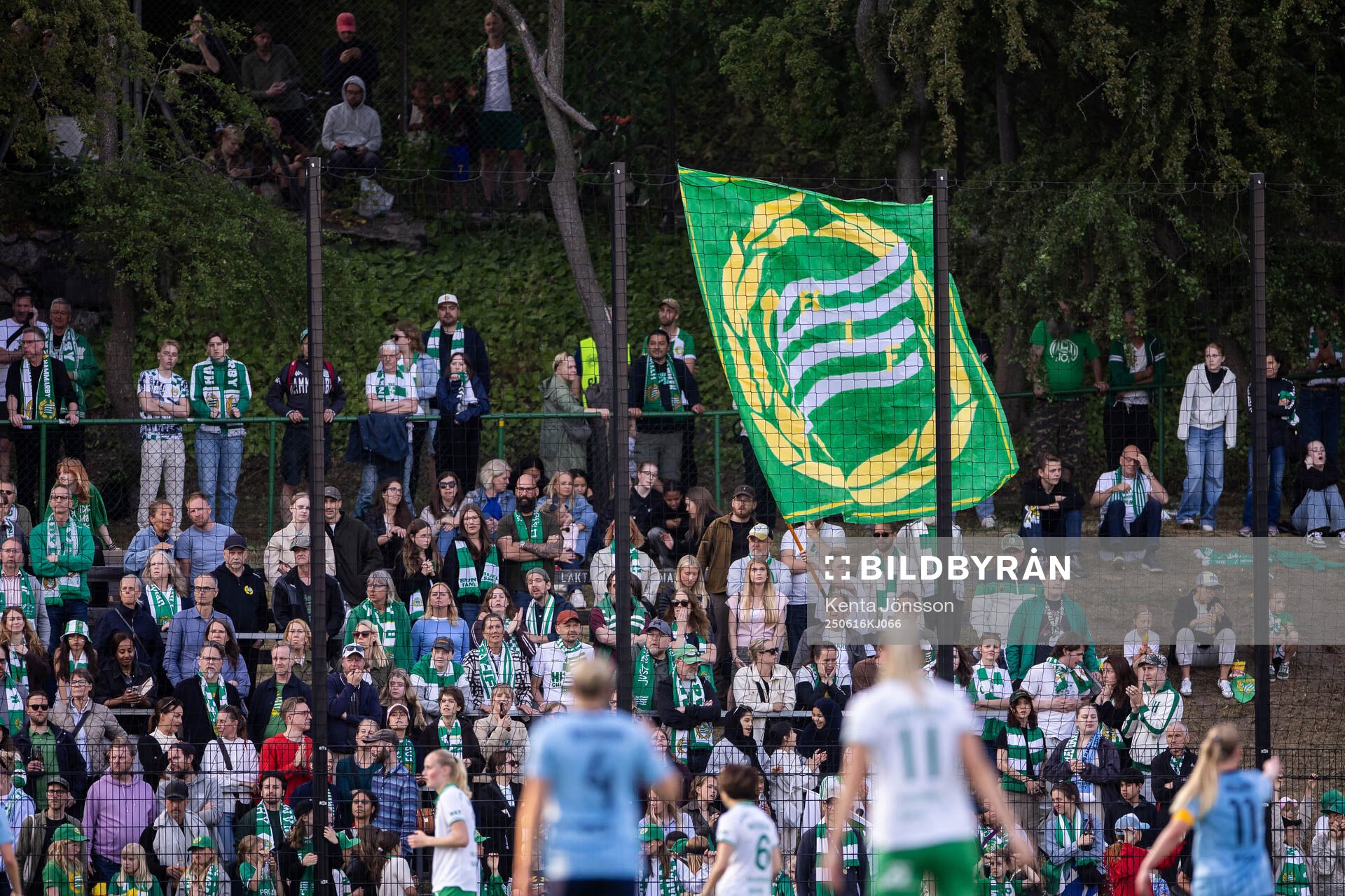 Hammarbys supportrar