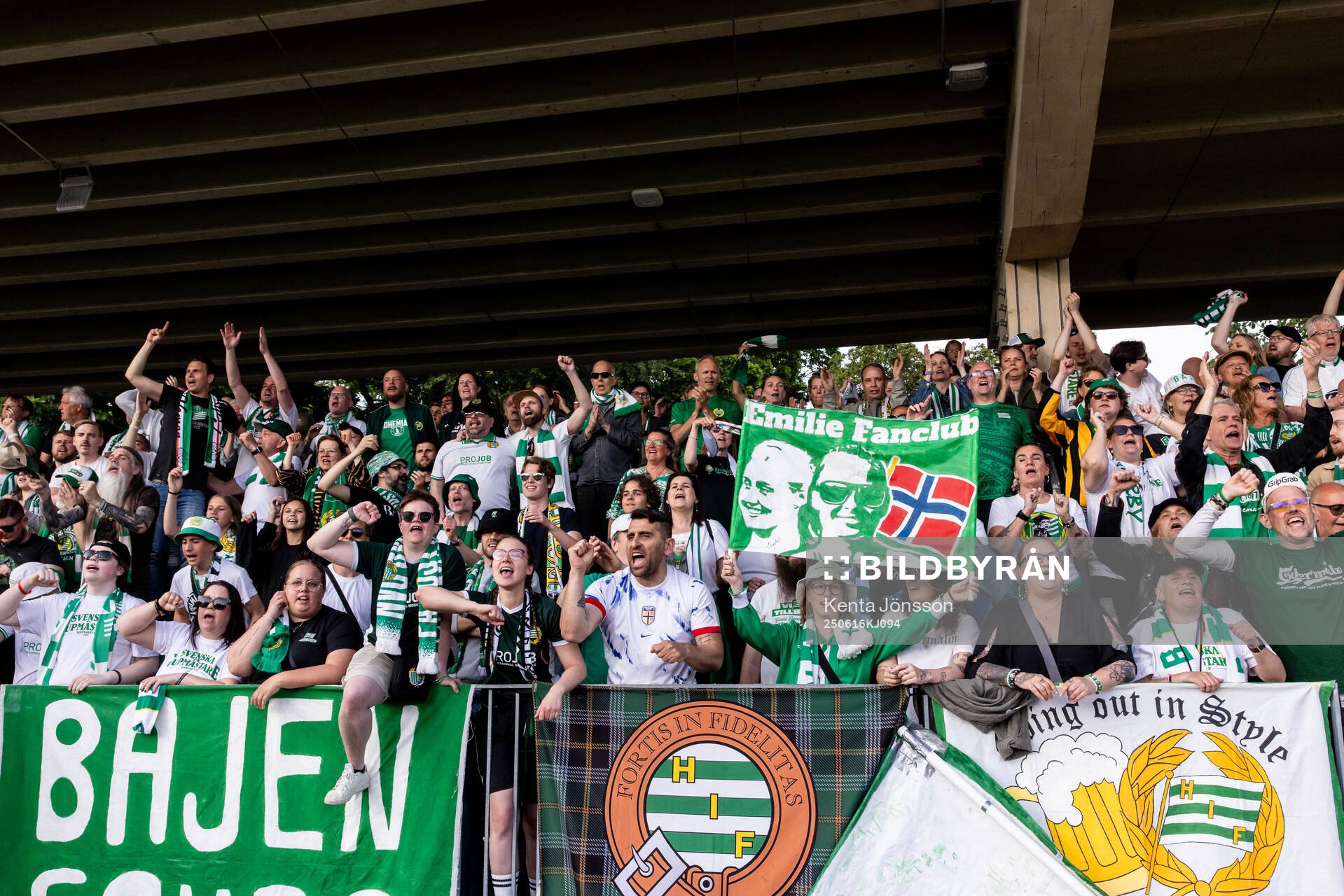 Hammarbys supportrar