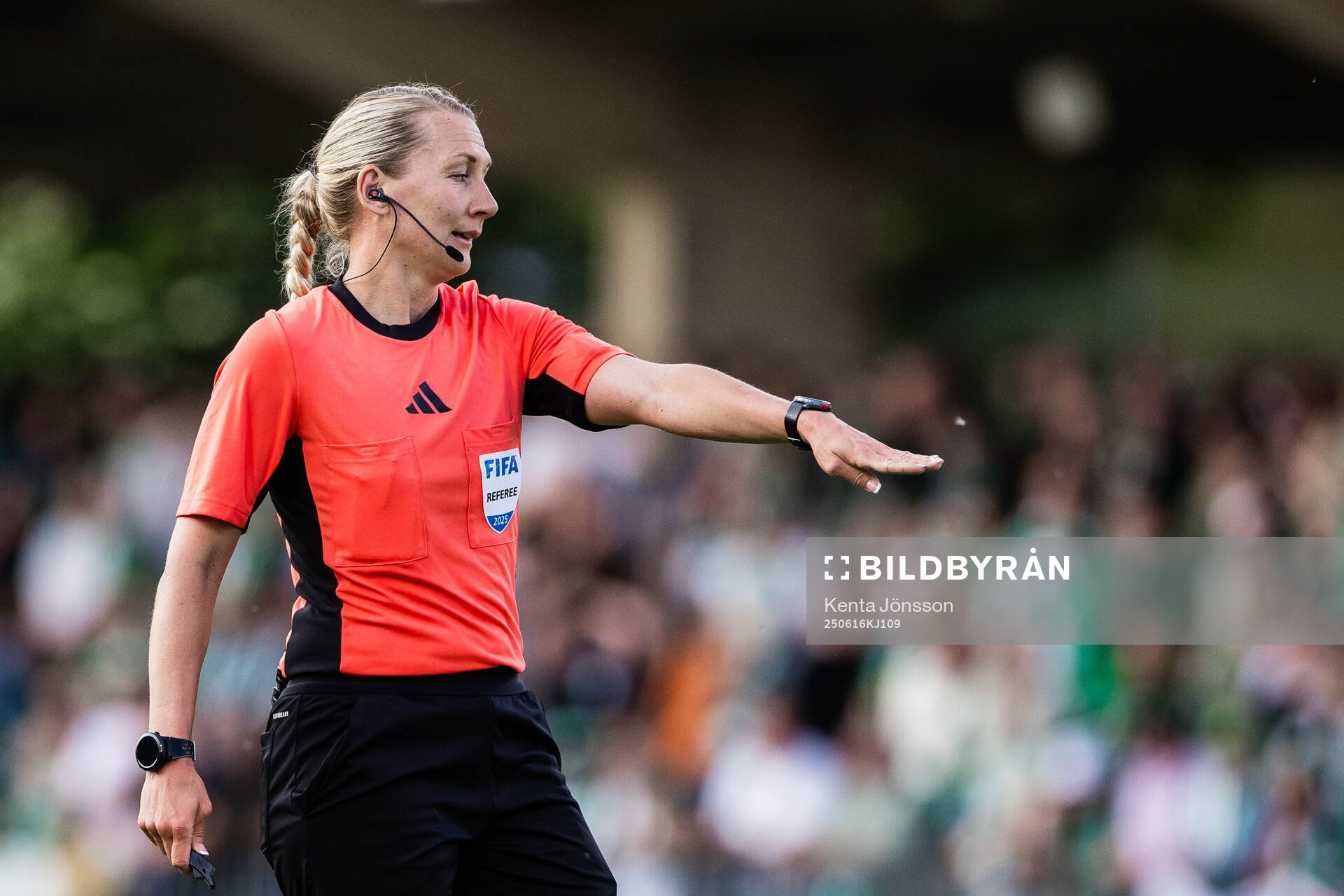 Domare Tess Olofsson