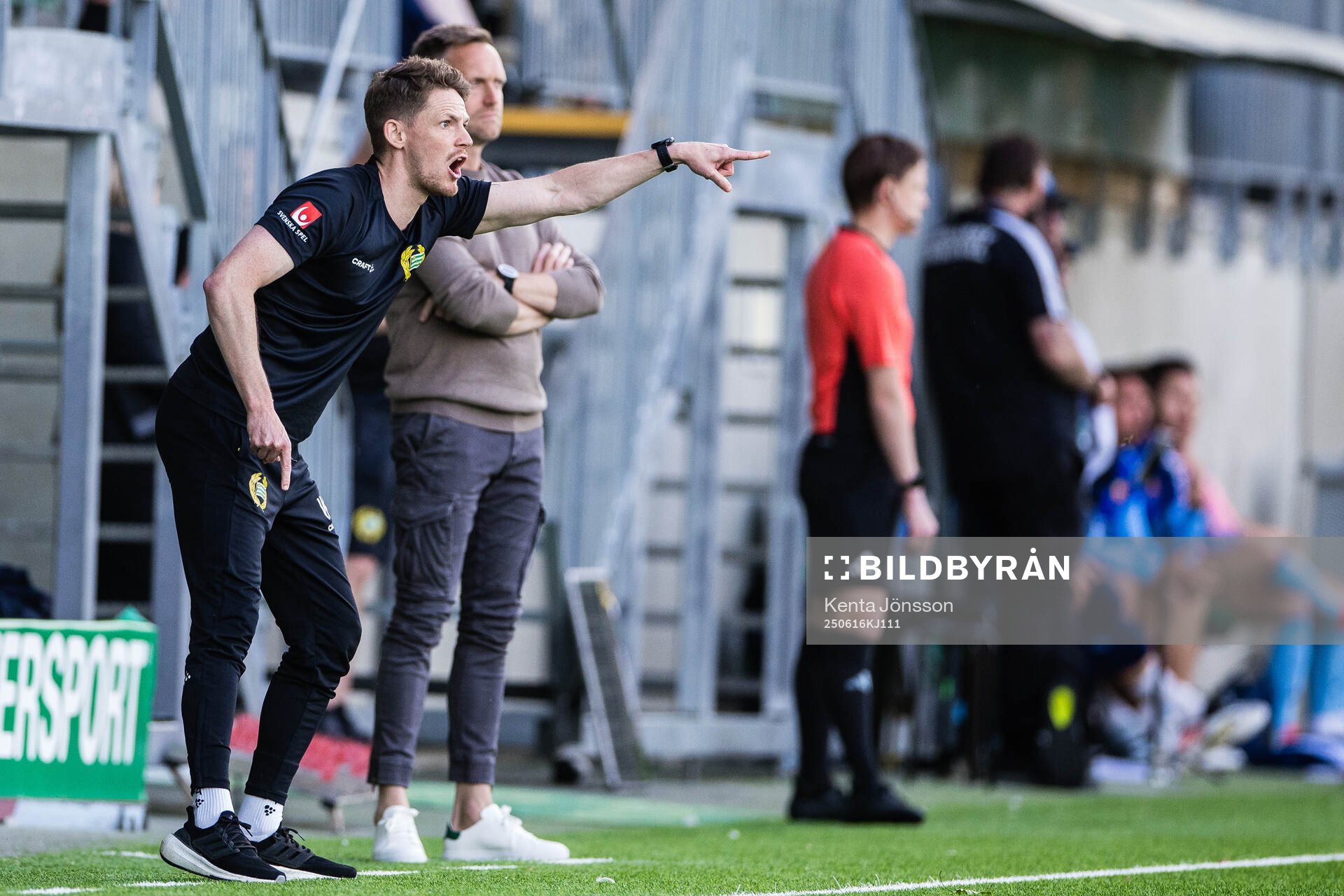 Hammarbys assisterande tränare William Strömberg