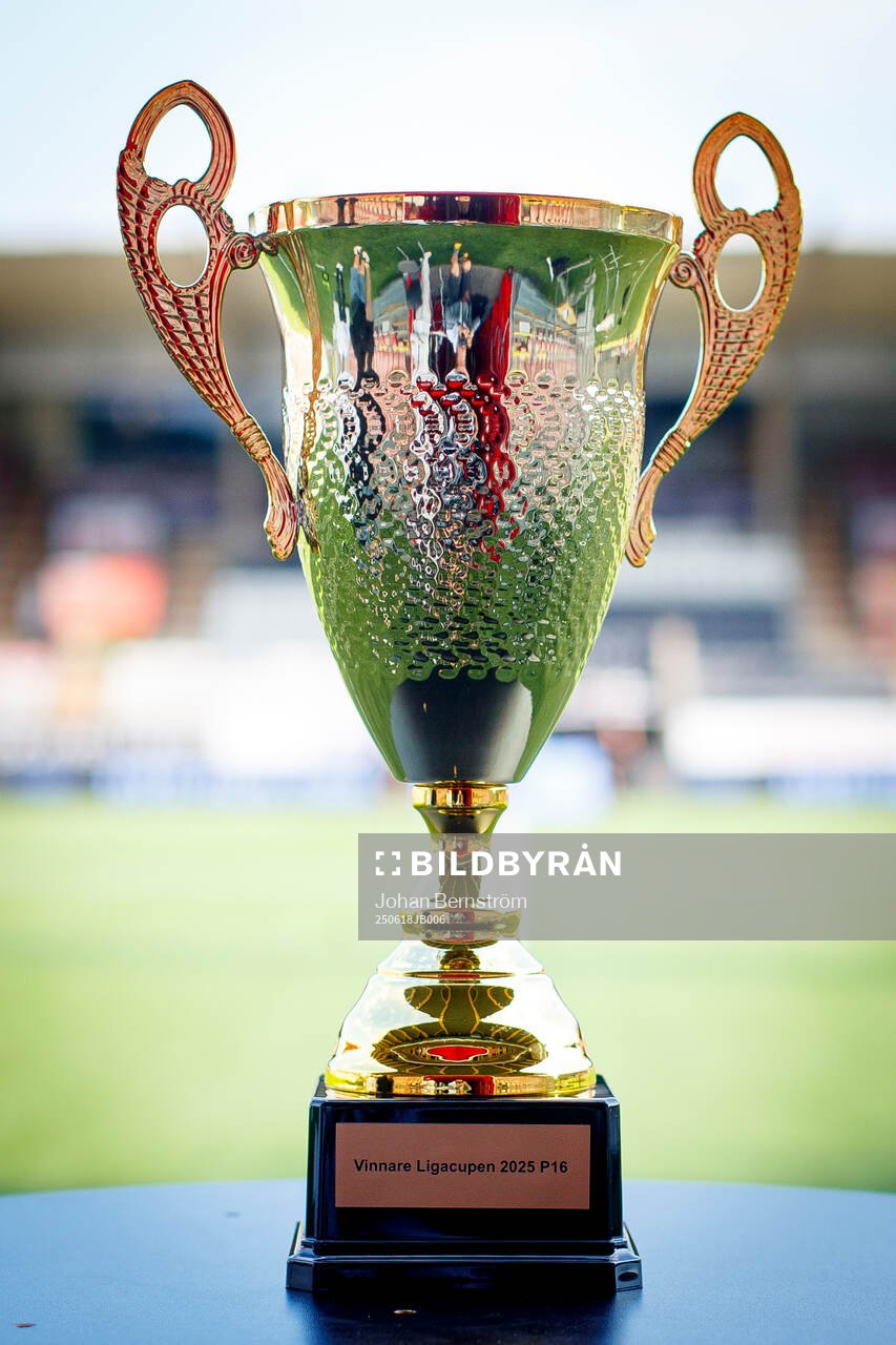 Pokalen till vinnaren av ligacupen 2015 P16