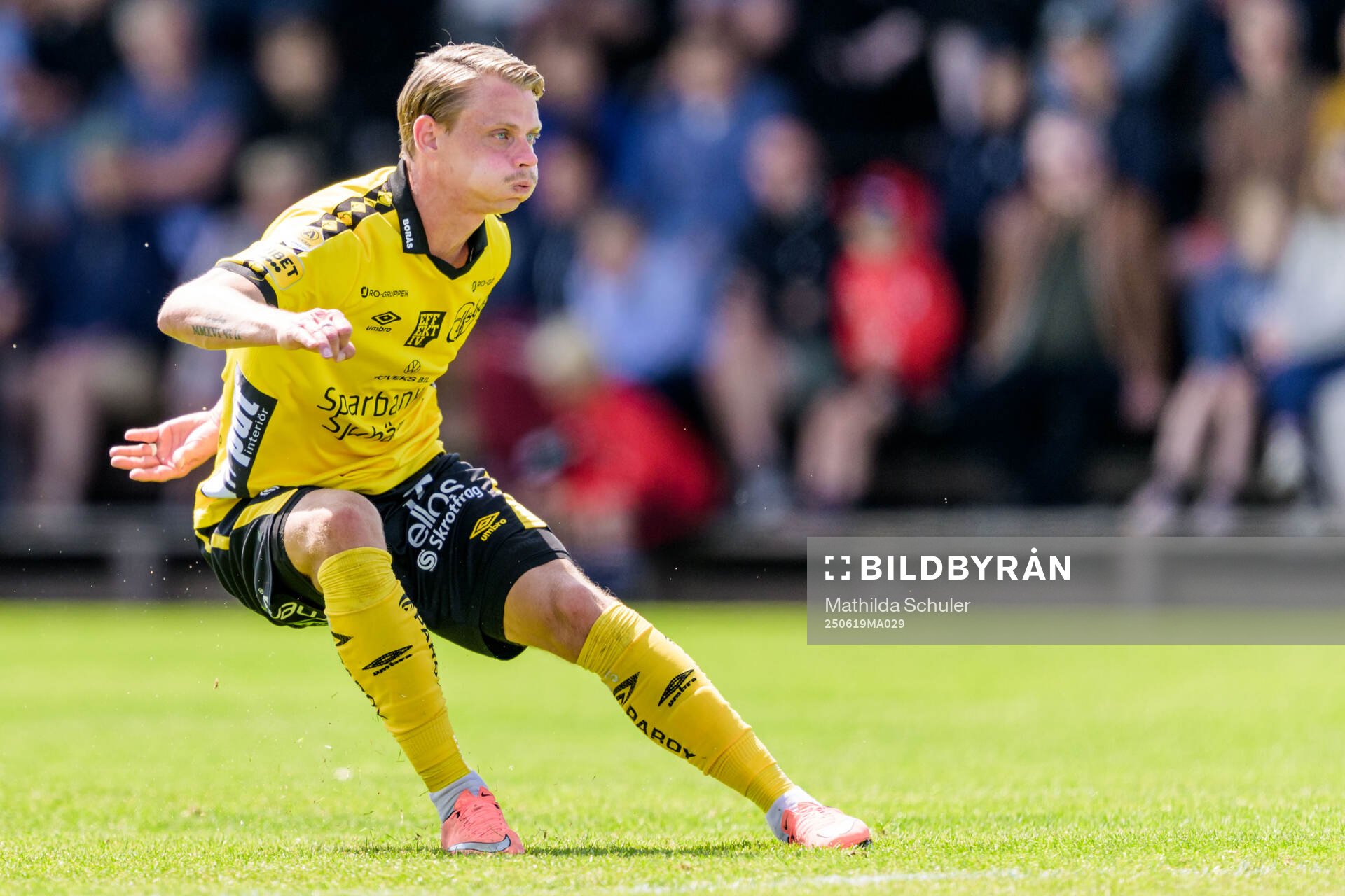 Elfsborgs Simon Hedlund
