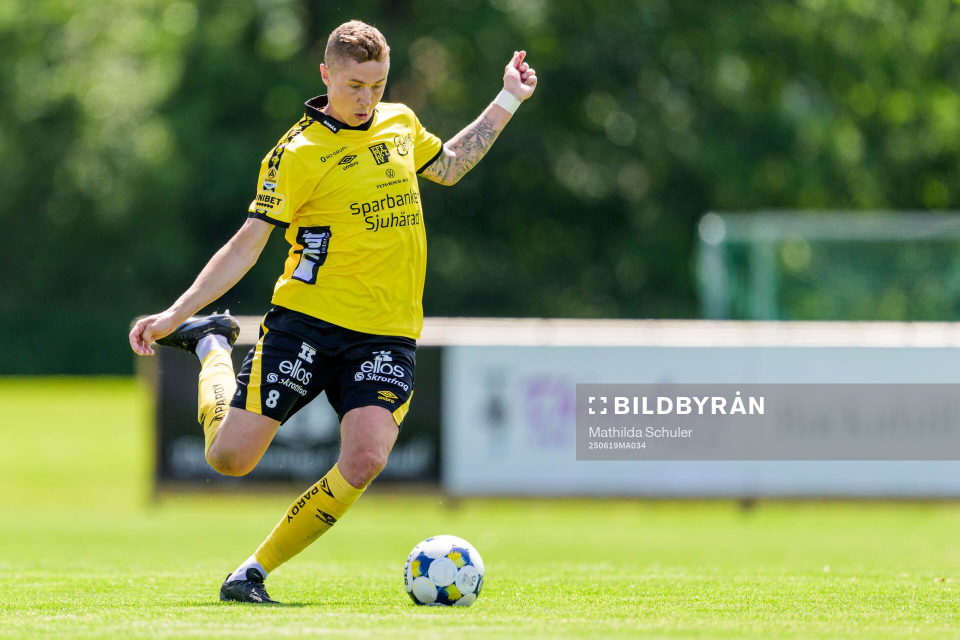 Elfsborg Sebastien Holmen