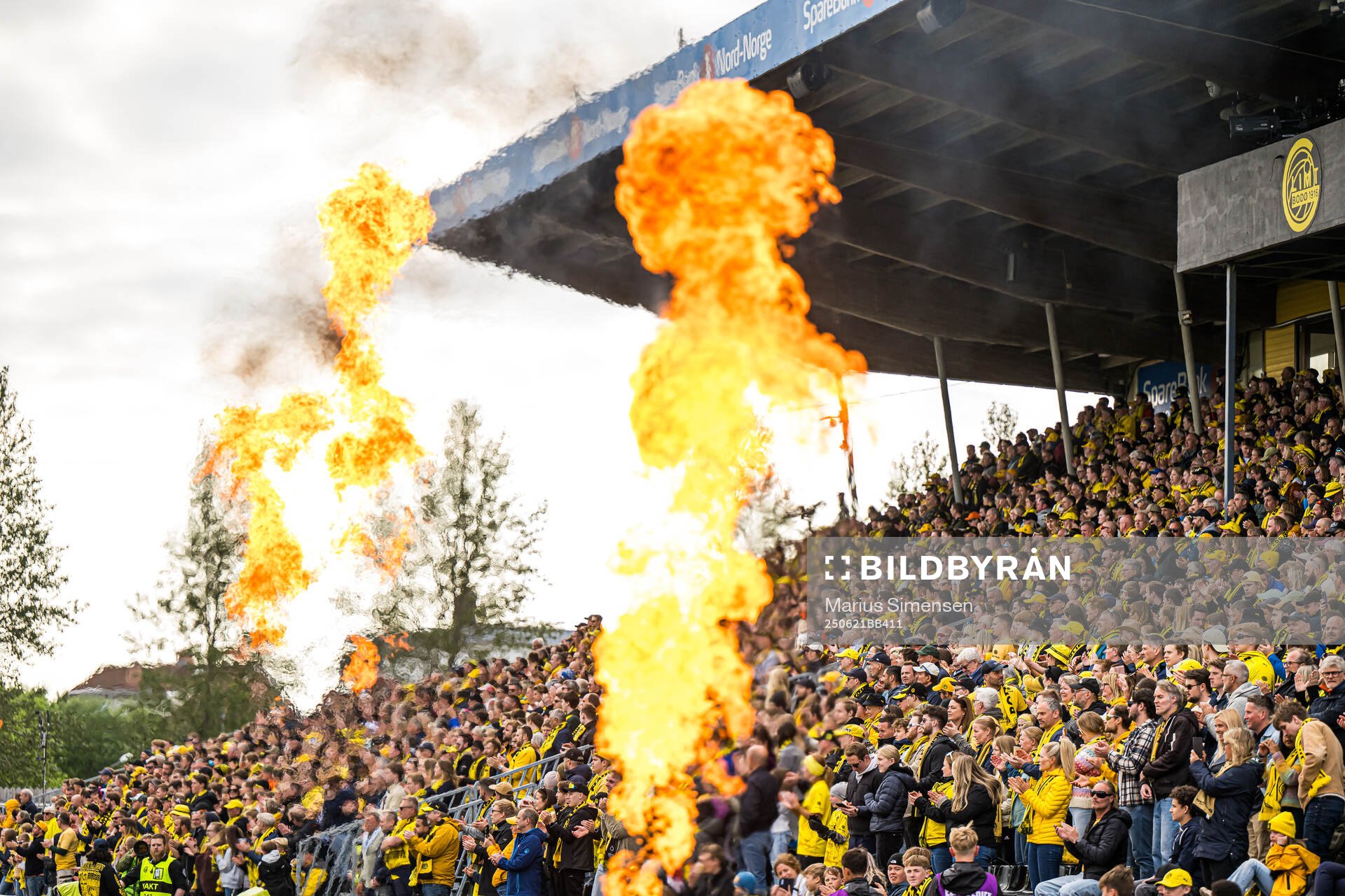 Spectators in the stands