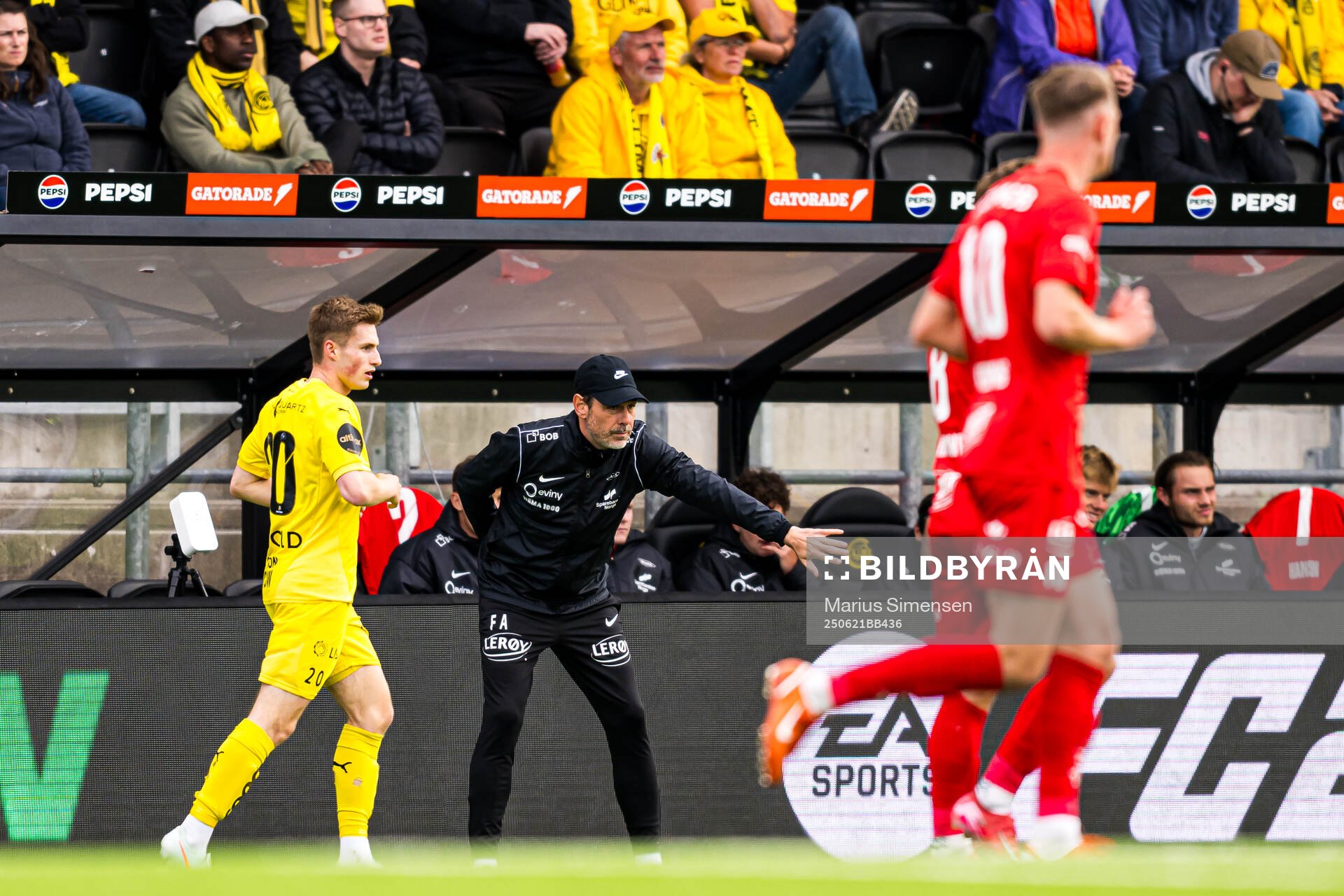 Freyr Alexandersson, head coach of Brann