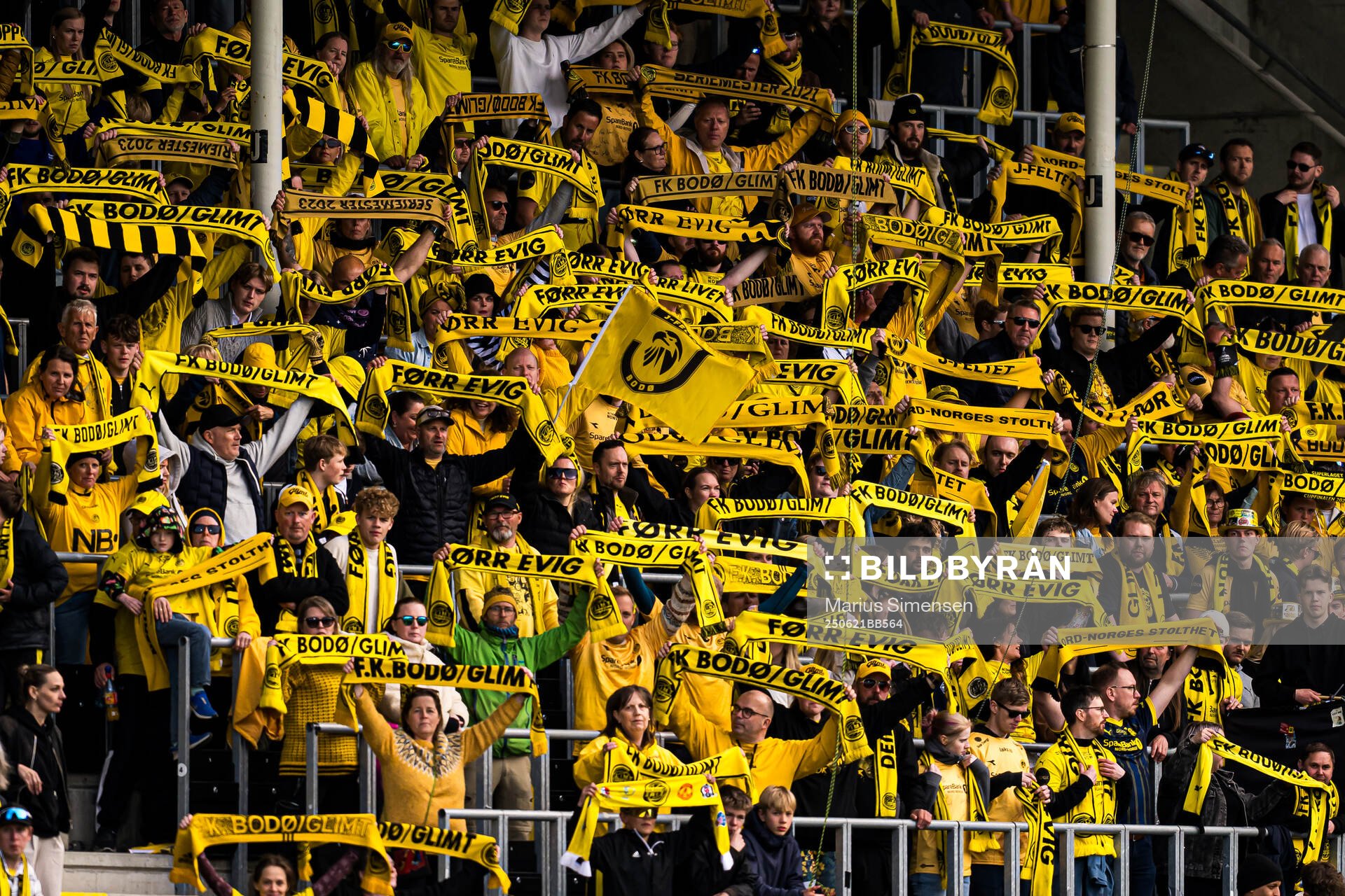 Spectators in the stands