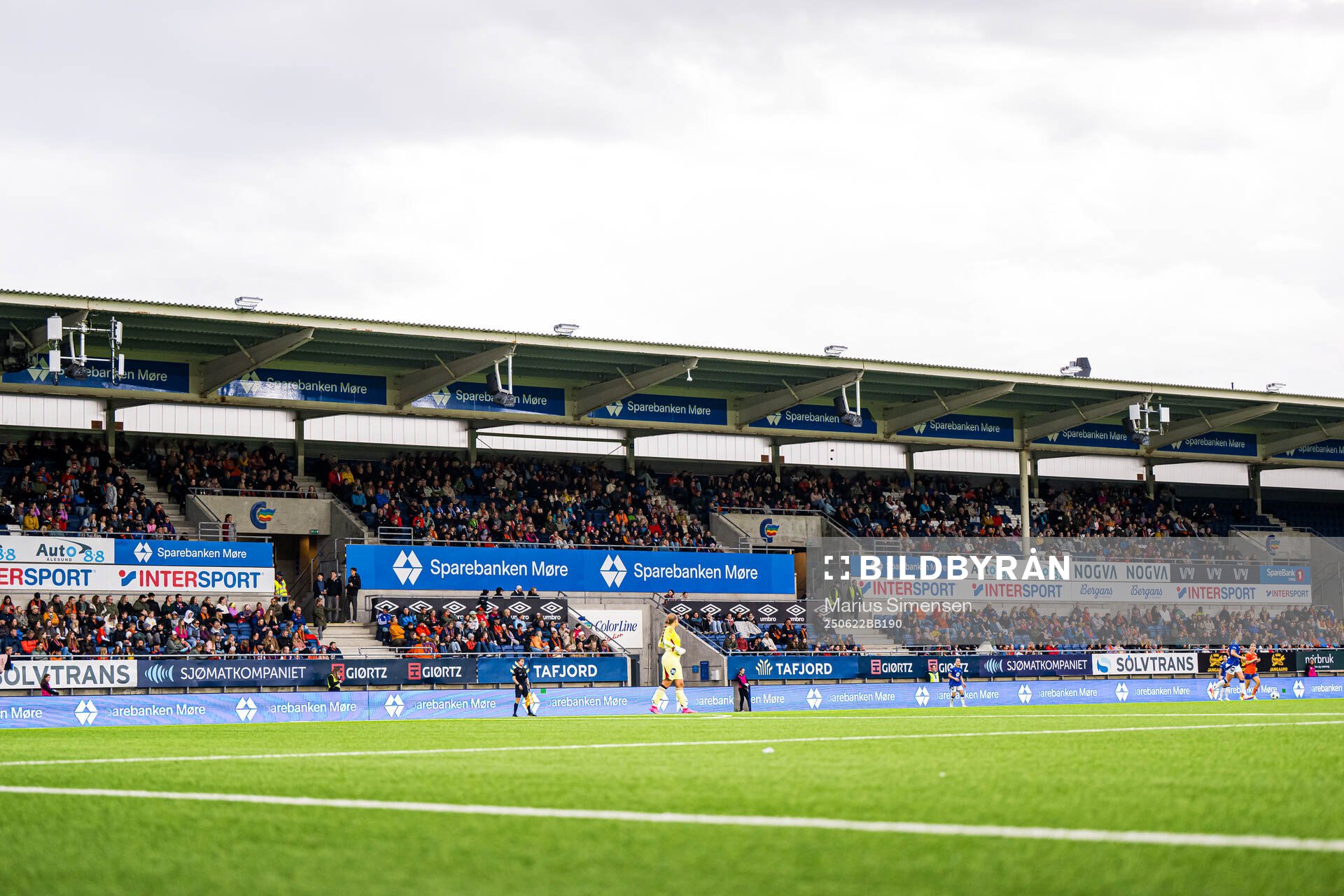 Spectators in the stands