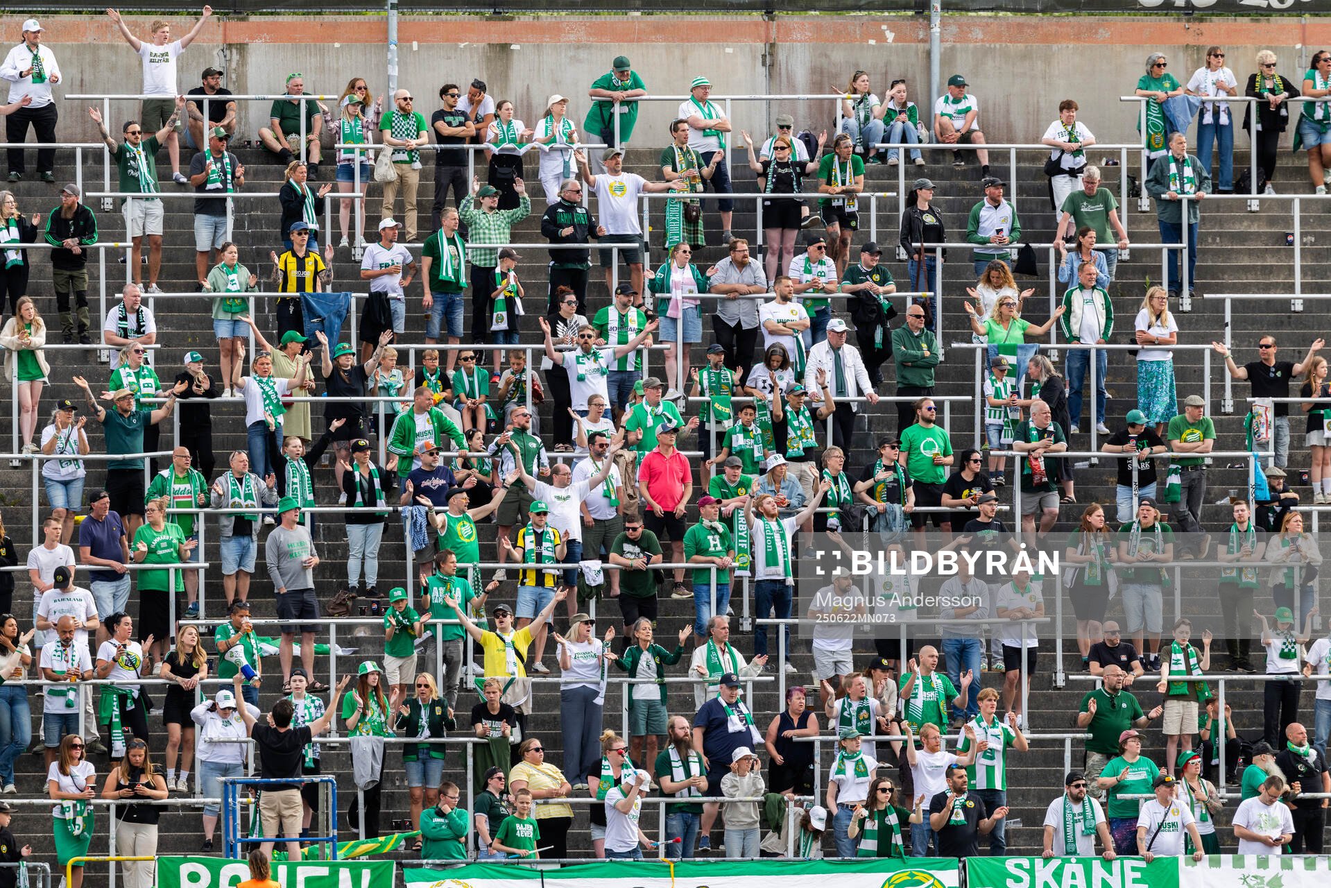 Hammarbys supportrar