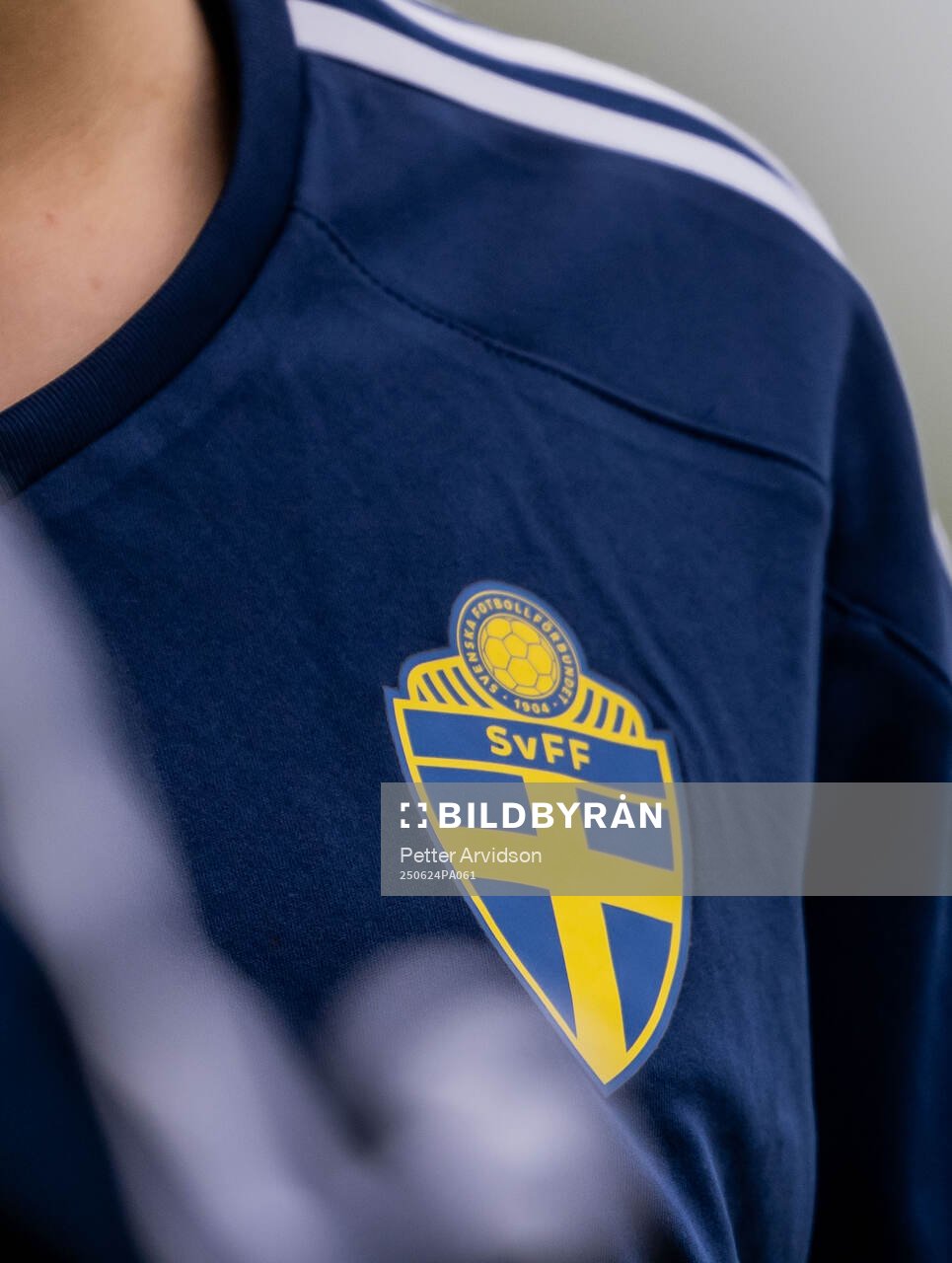 s riksläger för F10