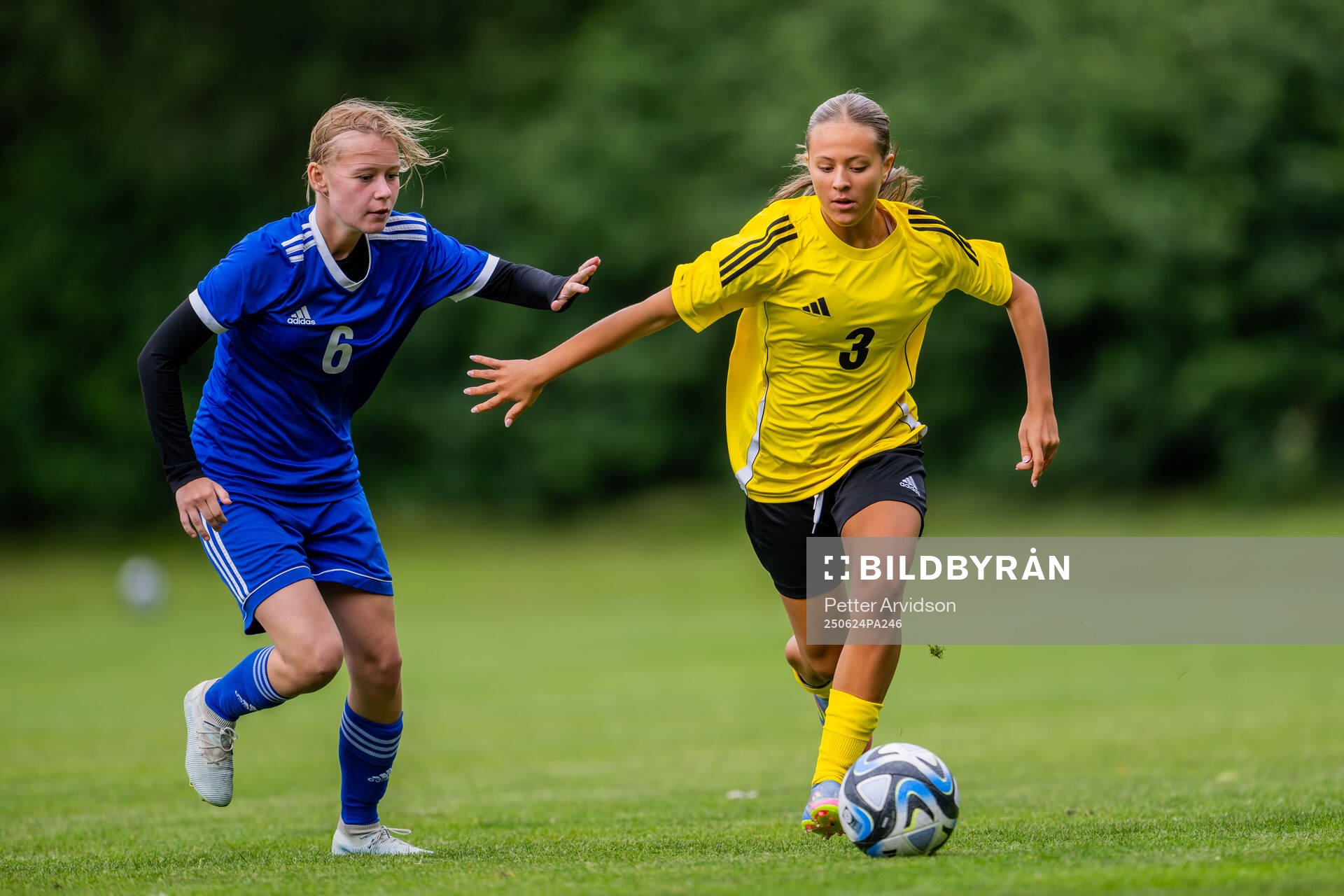 Elsa Nyberg, Färjestadens GOIF och Tamina Durakovic, QBIK