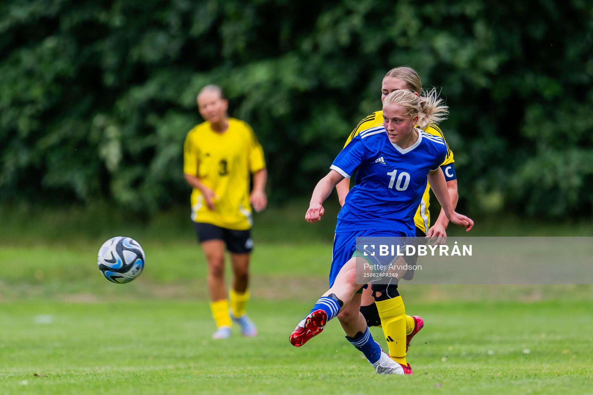 Amanda Cannehag, Hammarby IF FF