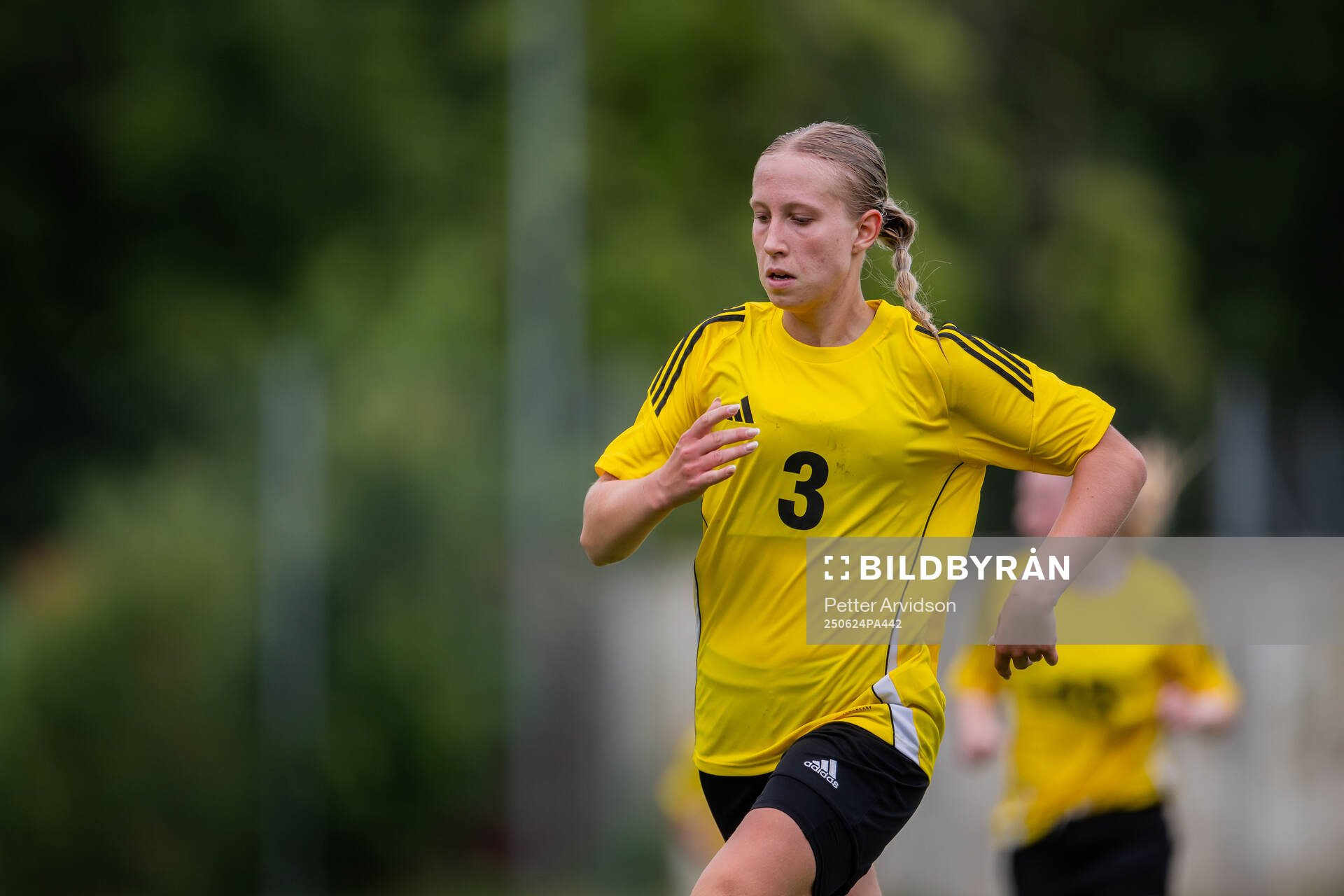 Novalie Hedenlid, IF Elfsborg