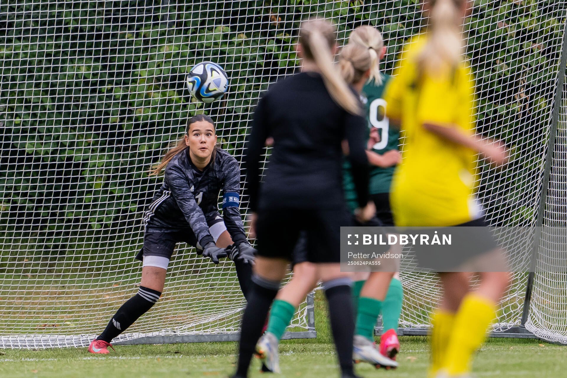 Målvakt Ellie Röhr, Hammarby IF FF